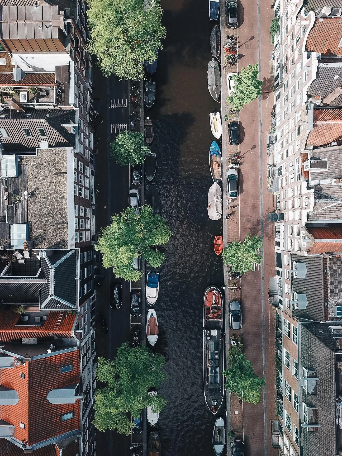 drone. (1).jpg