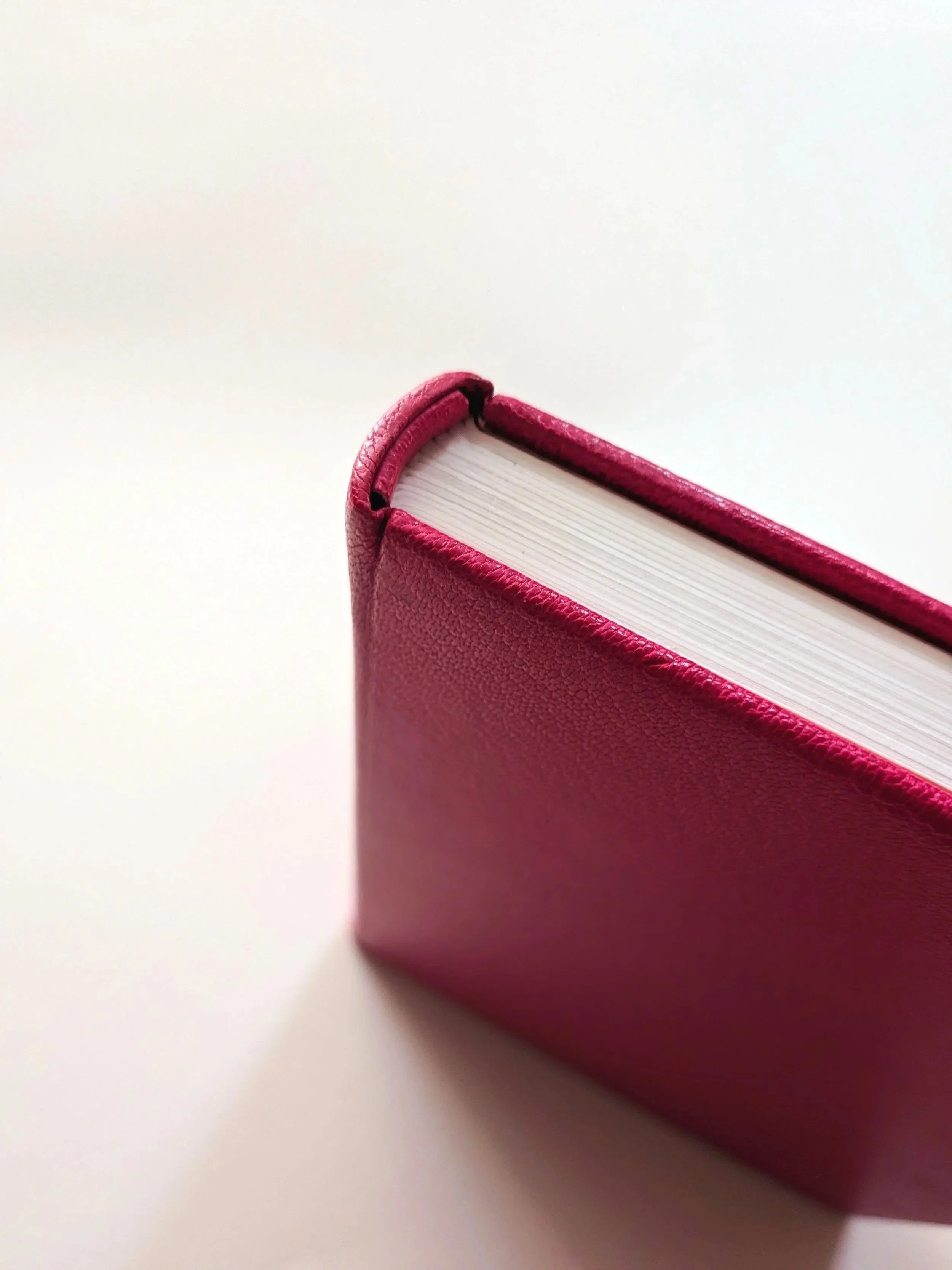 Close-up of a of a pink leather-bound book with visible page edges on a white background. This is an example of a designer product, using the highest quality products such as goat skin, hand sewn pages and leather end bands and head bands.