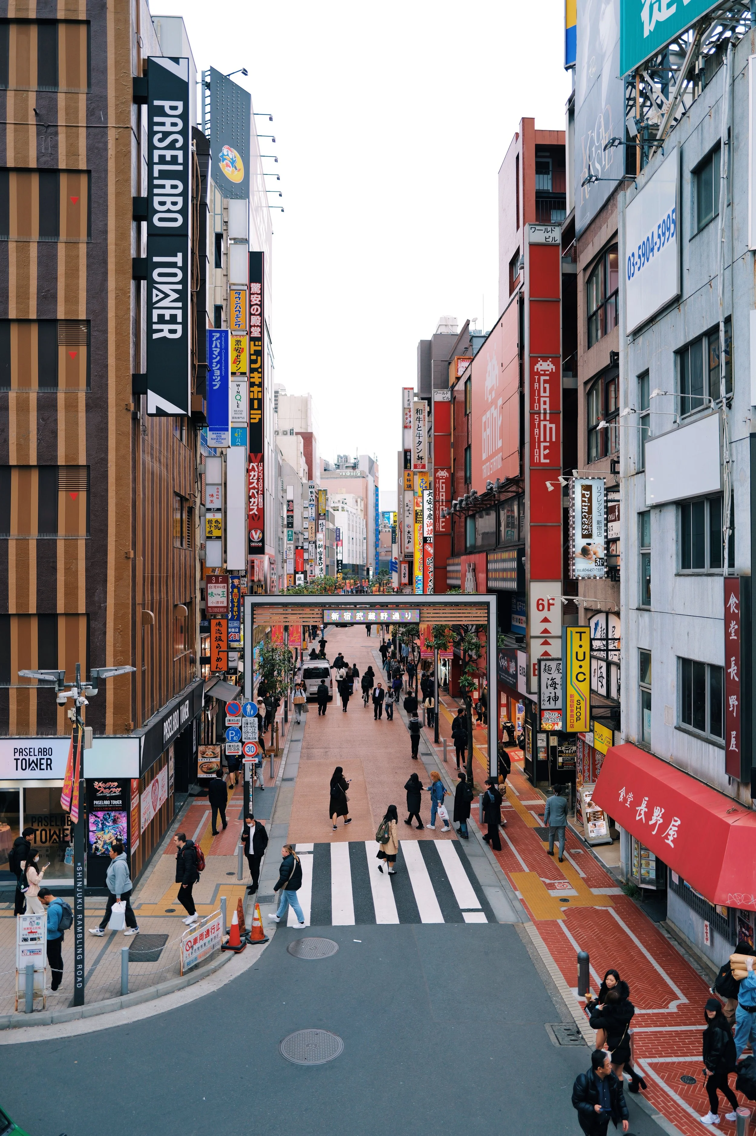 Global Spotlight Report  - Japan (Coming in 2027)