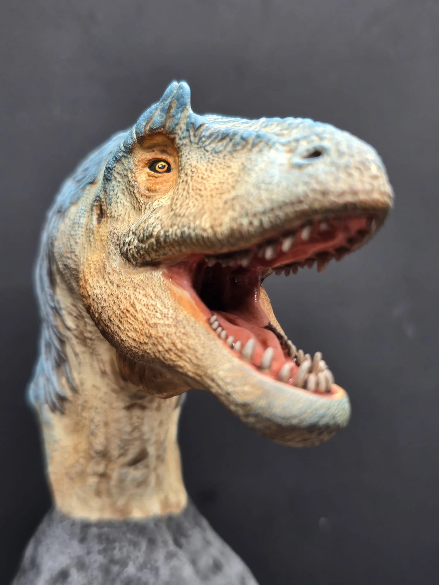Close-up of a dinosaur skull model with open mouth, showing teeth, set against a black background.