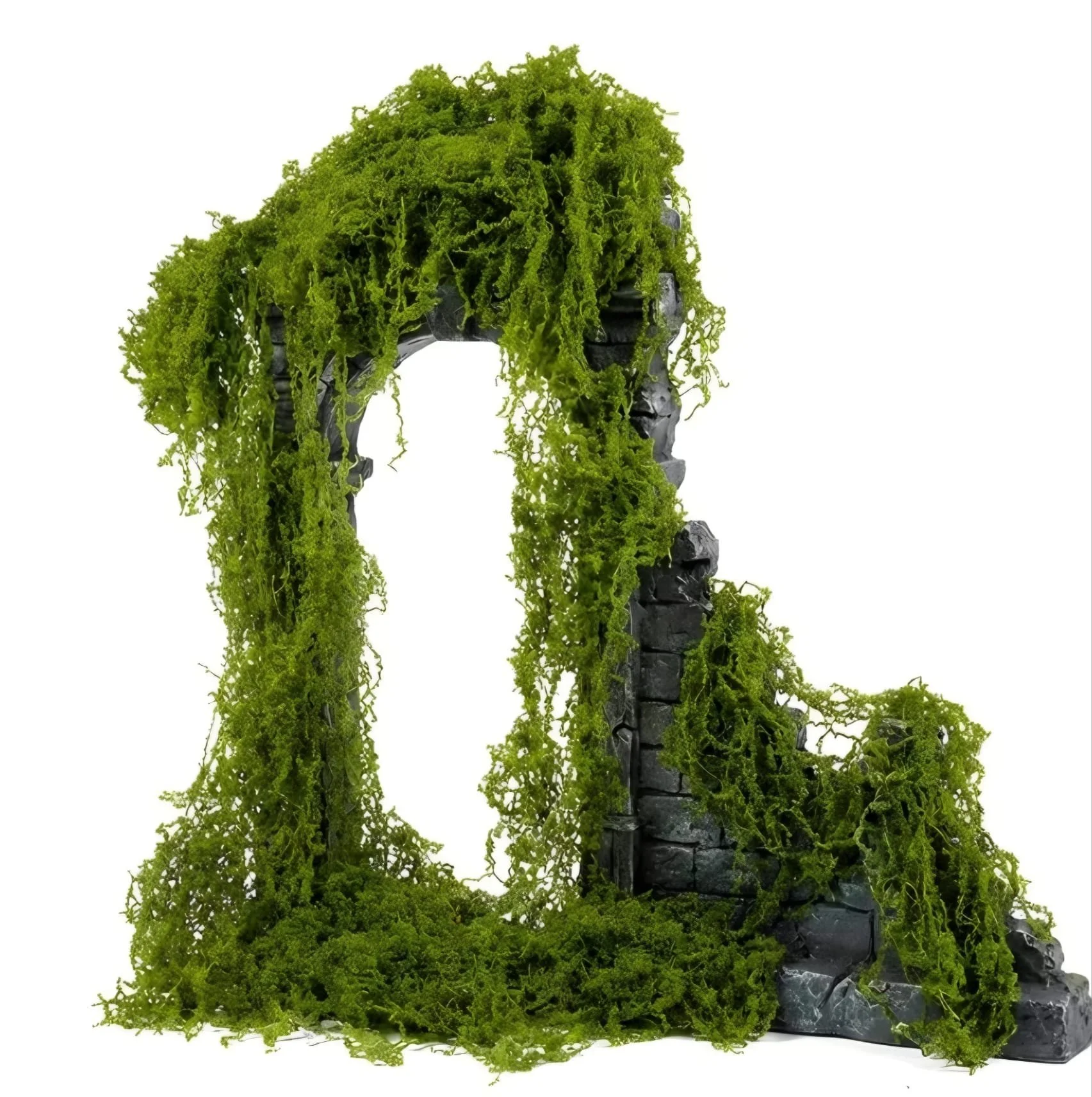 Ivy Vine