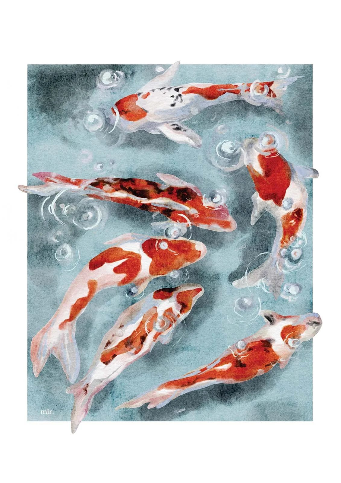 Koi+podgl%C4%85d.jpg