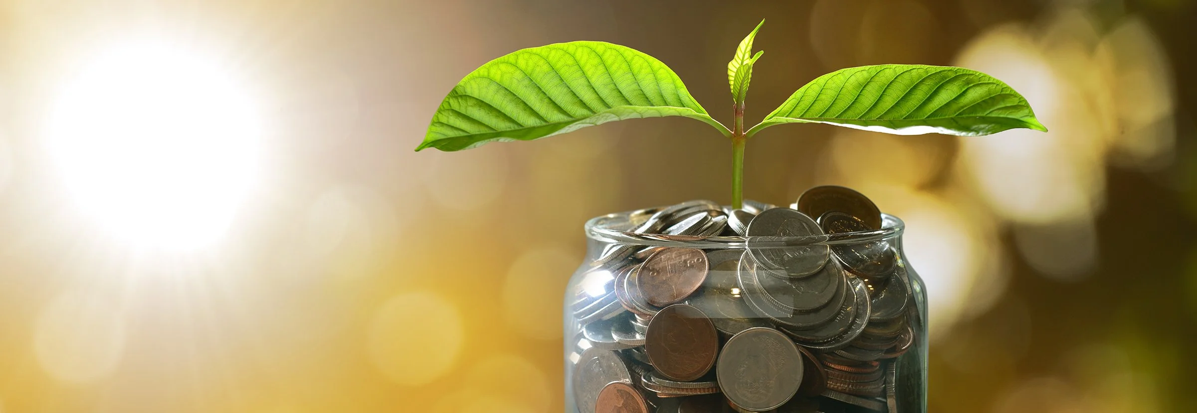 PBC’s Middle‑Income Inflation Monitor June 2026