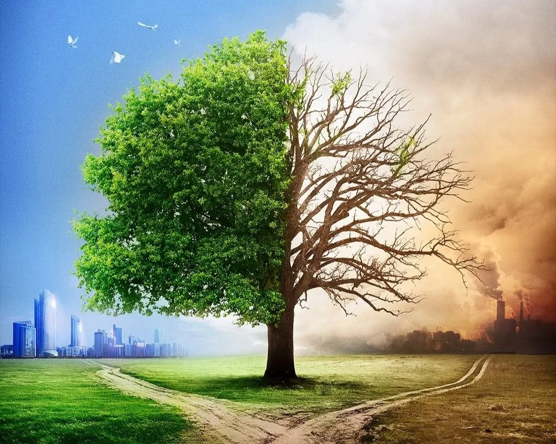 Governance, whether Good or Bad, Bears Fruit…