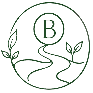 Pathway to B Corp For Cornish Businesses
