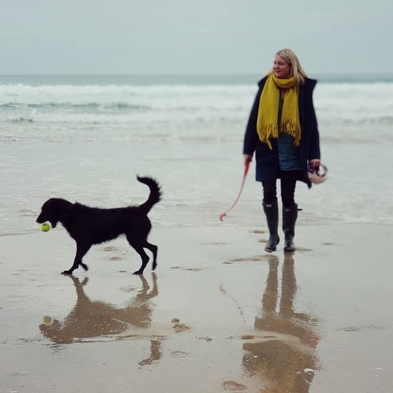 Dog walkting on the beach in Cornwall