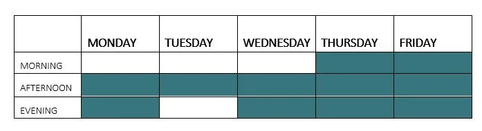 Weekly schedule chart with columns for days of the week and rows for morning, afternoon, and evening, filled with blocks indicating scheduled times.