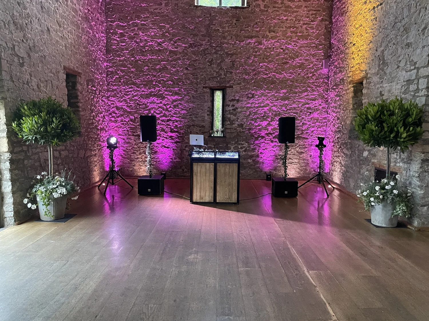 Wedding celebration with professional DJ entertainment