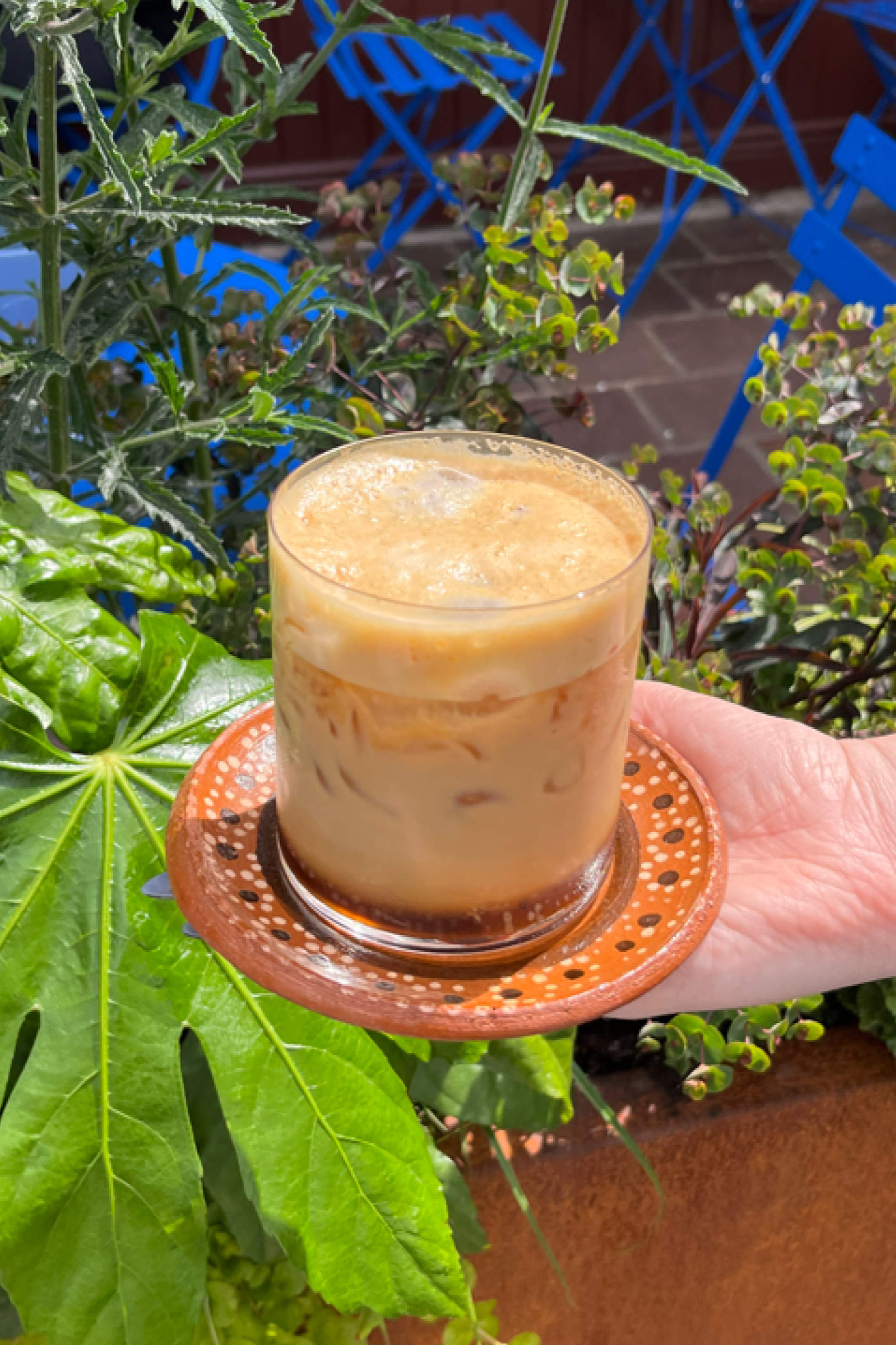 A glass of iced coffee or latte being held on a saucer with a decorative design, surrounded by green leafy plants outdoors.