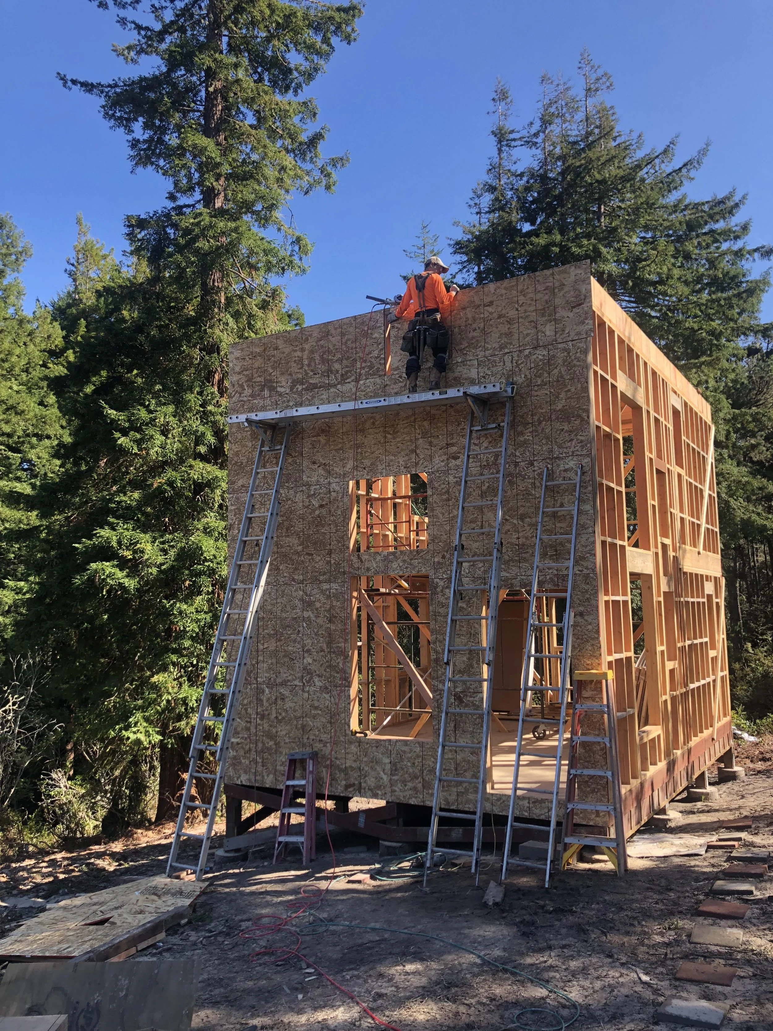 A person in work clothes and a hat working on a wooden frame of a small building or house outdoors, with scaffolding and ladders, surrounded by tall trees and a clear blue sky.