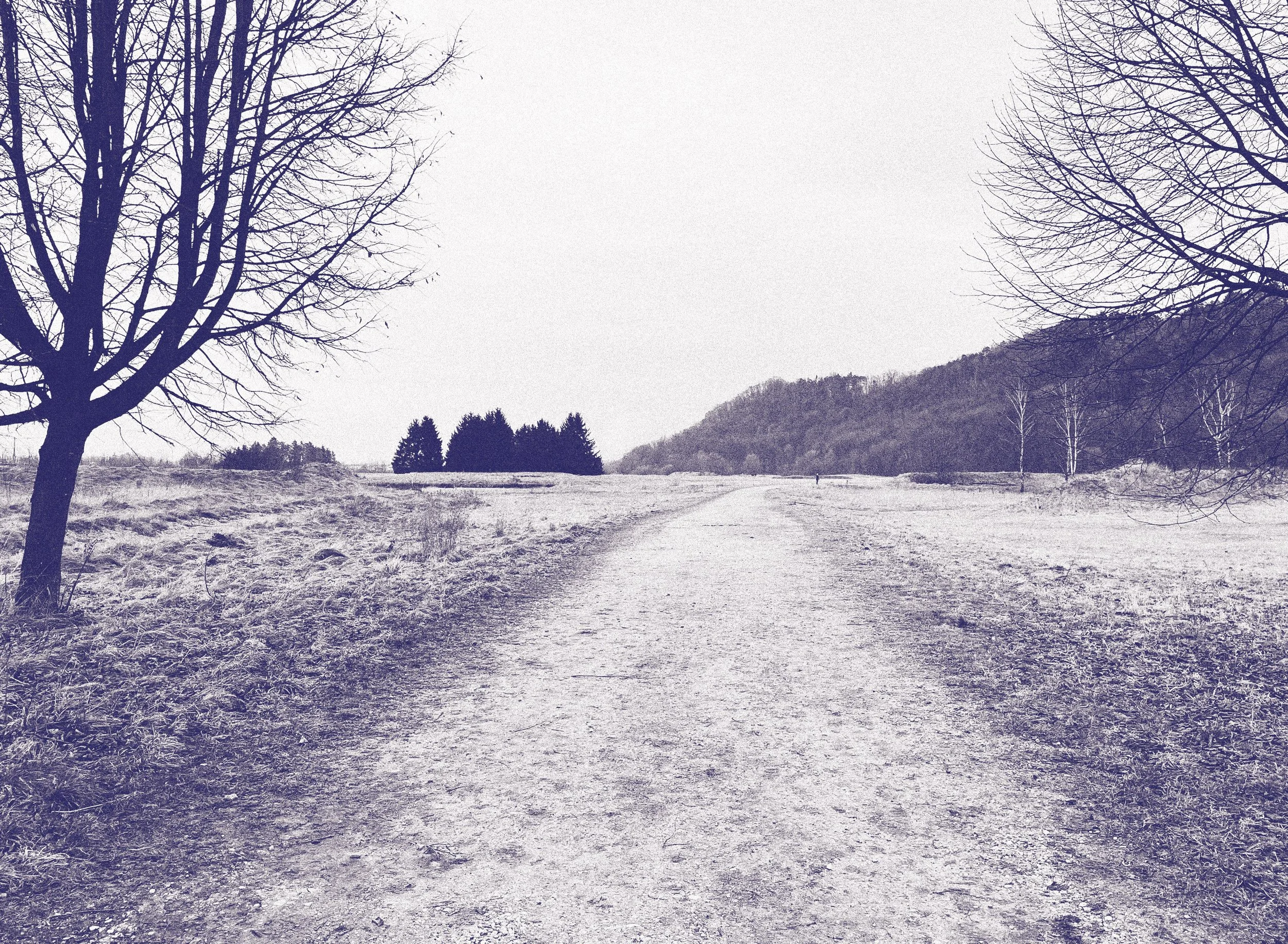 Schneebedeckter Weg in einer winterlichen Landschaft mit Bäumen und Hügeln im Hintergrund.