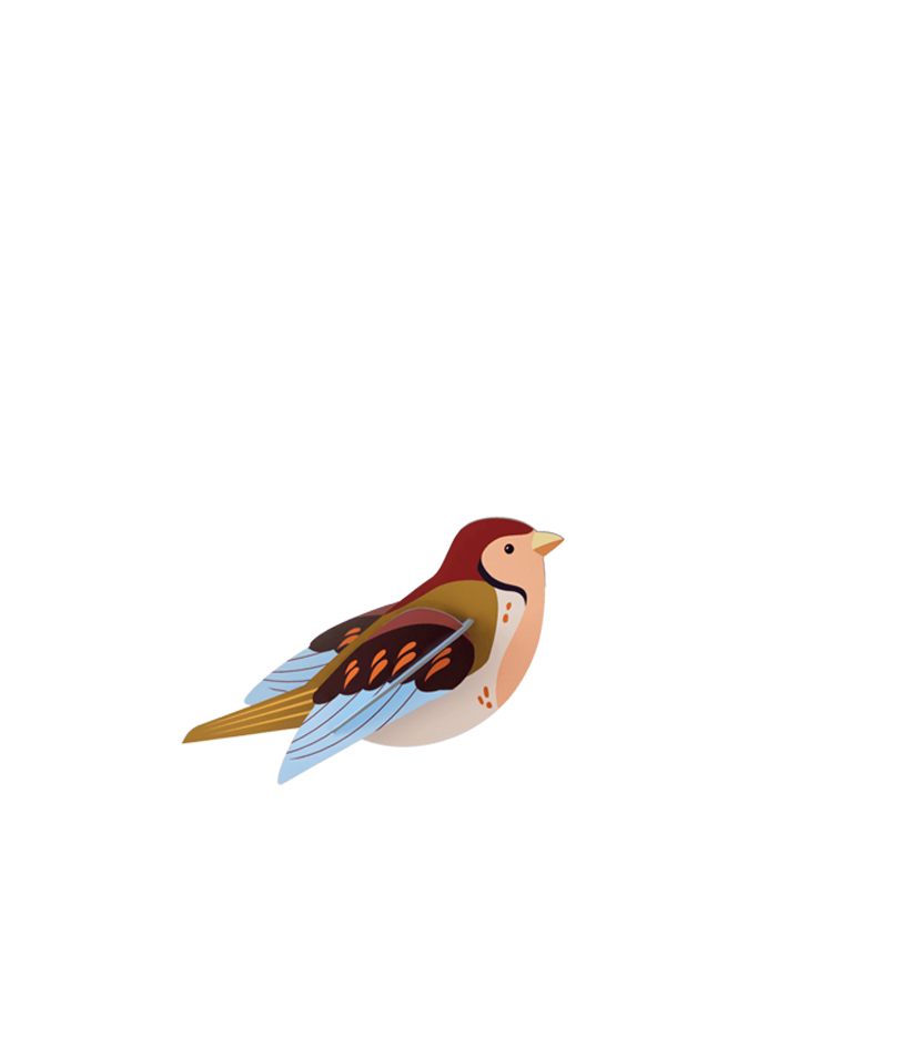 PAPP-SPATZ