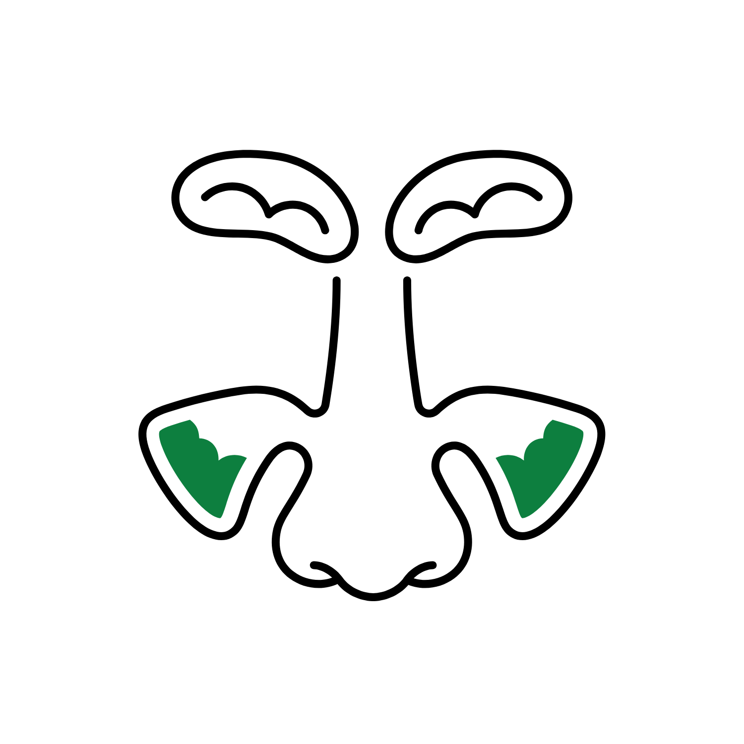 A minimalist black and white outline of a human nose with the internal structure of the nasal cavity highlighted in green, included two sides of the nasal passage.