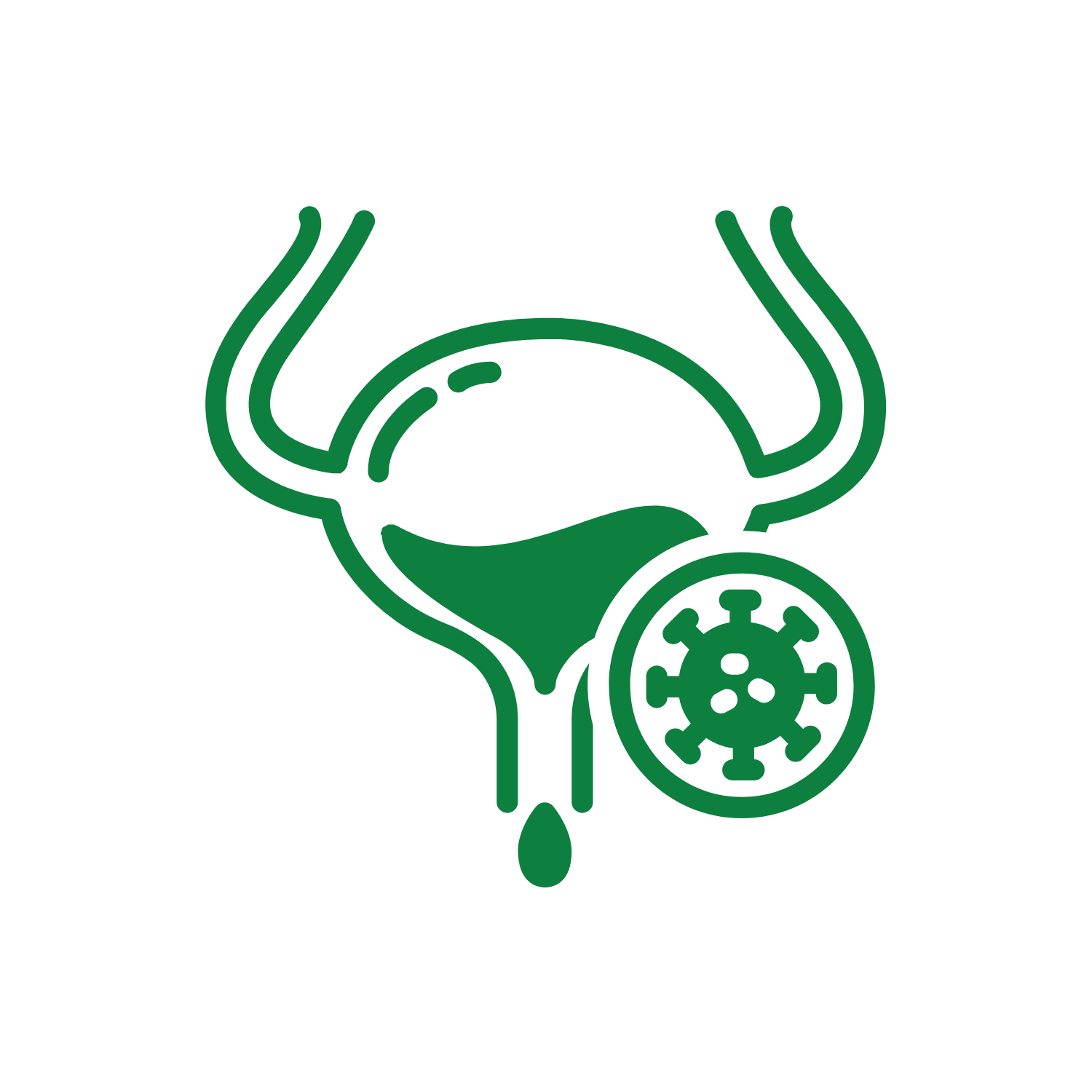 Line drawing of a human urinary system with a virus symbol near the bladder.