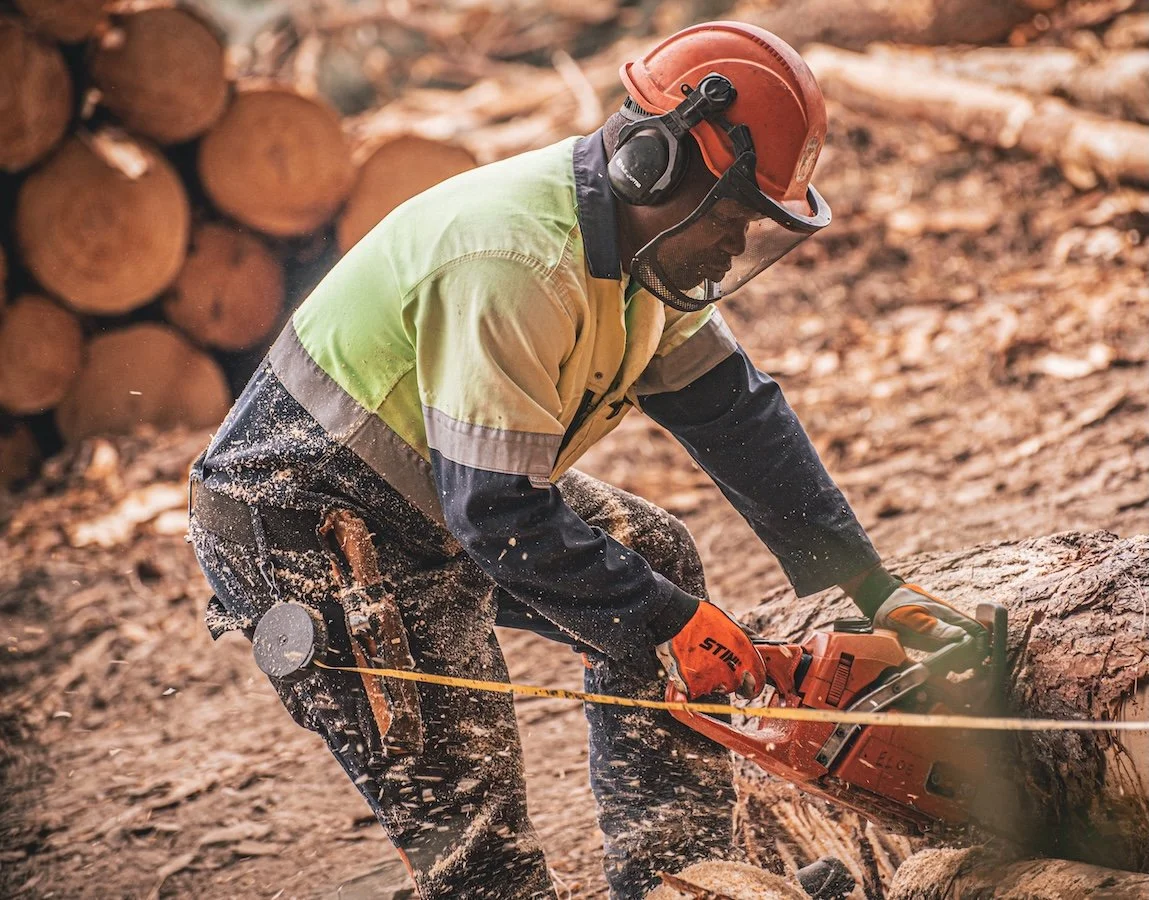 A lumberjack wearing safety gear, including a helmet and gloves, is cutting a fallen tree with a chainsaw in a forested area.