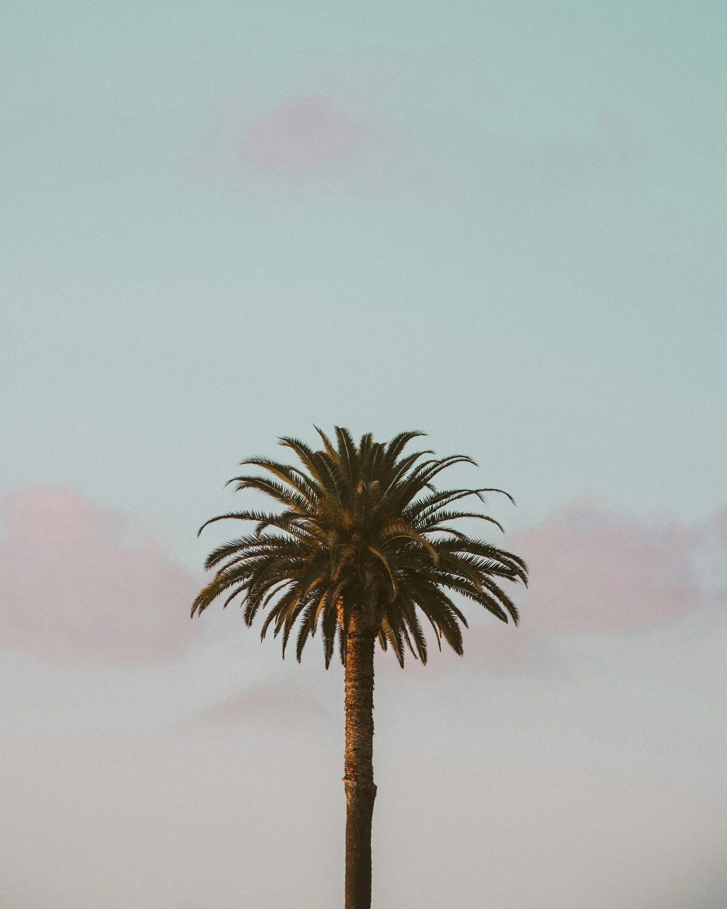 gustavo-zambelli-PuQO-7M0VpE-unsplash.jpg