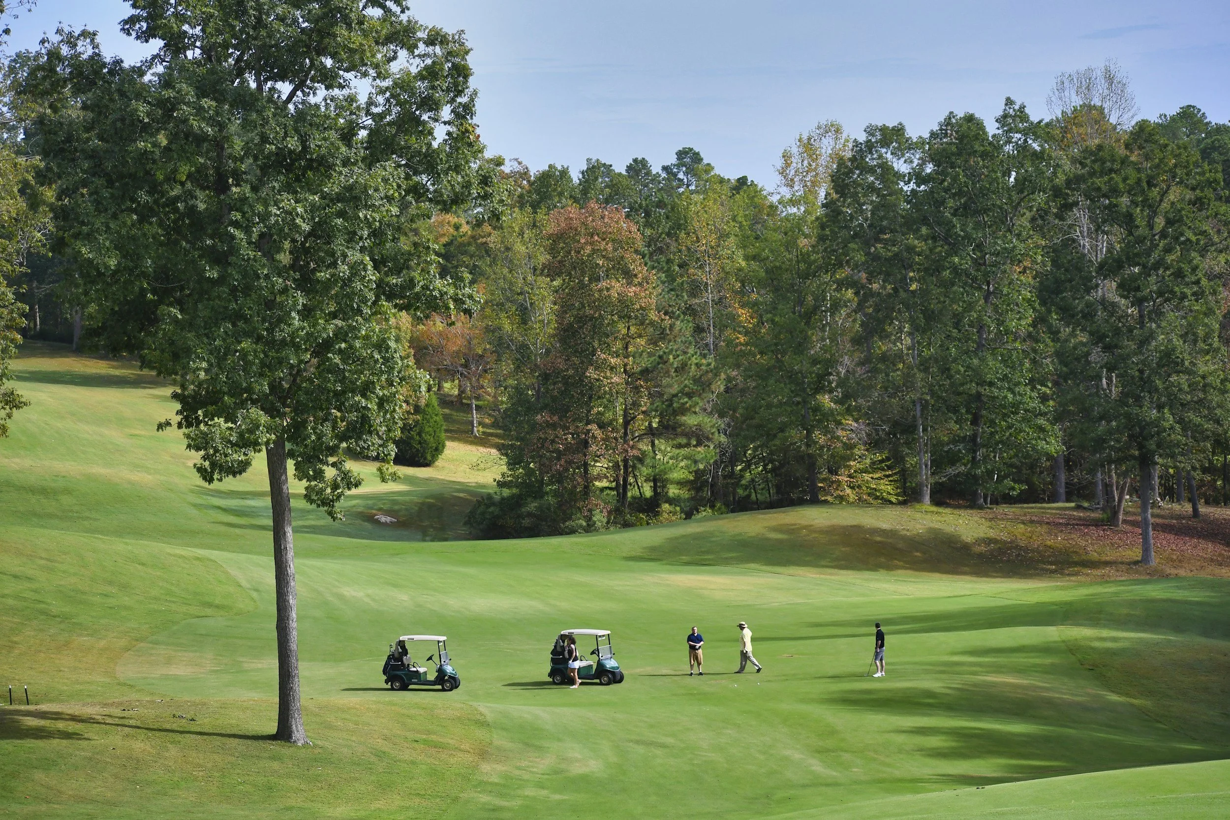 Golf course with four people near golf carts, surrounded by trees and a grassy landscape under a clear blue sky.