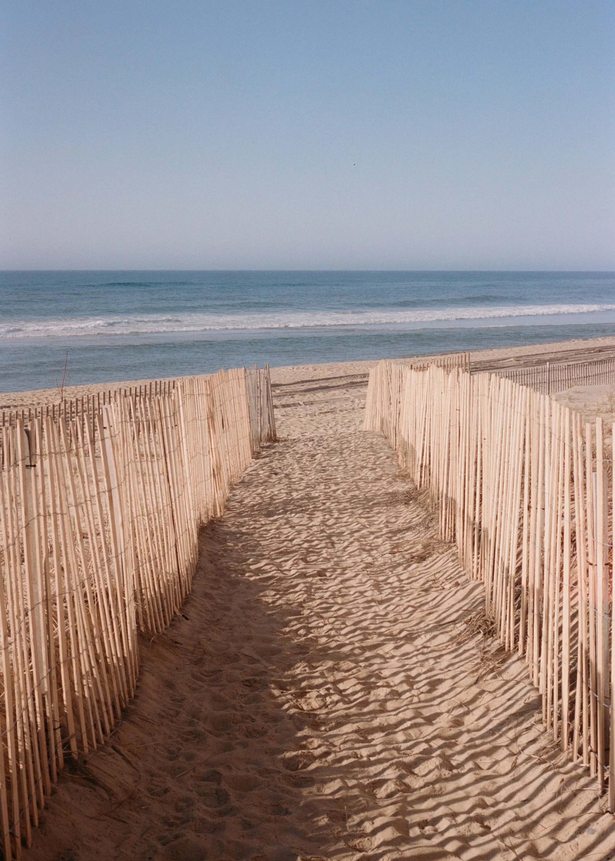 Marram_Shot by Anna Rae Dizik-4.jpg