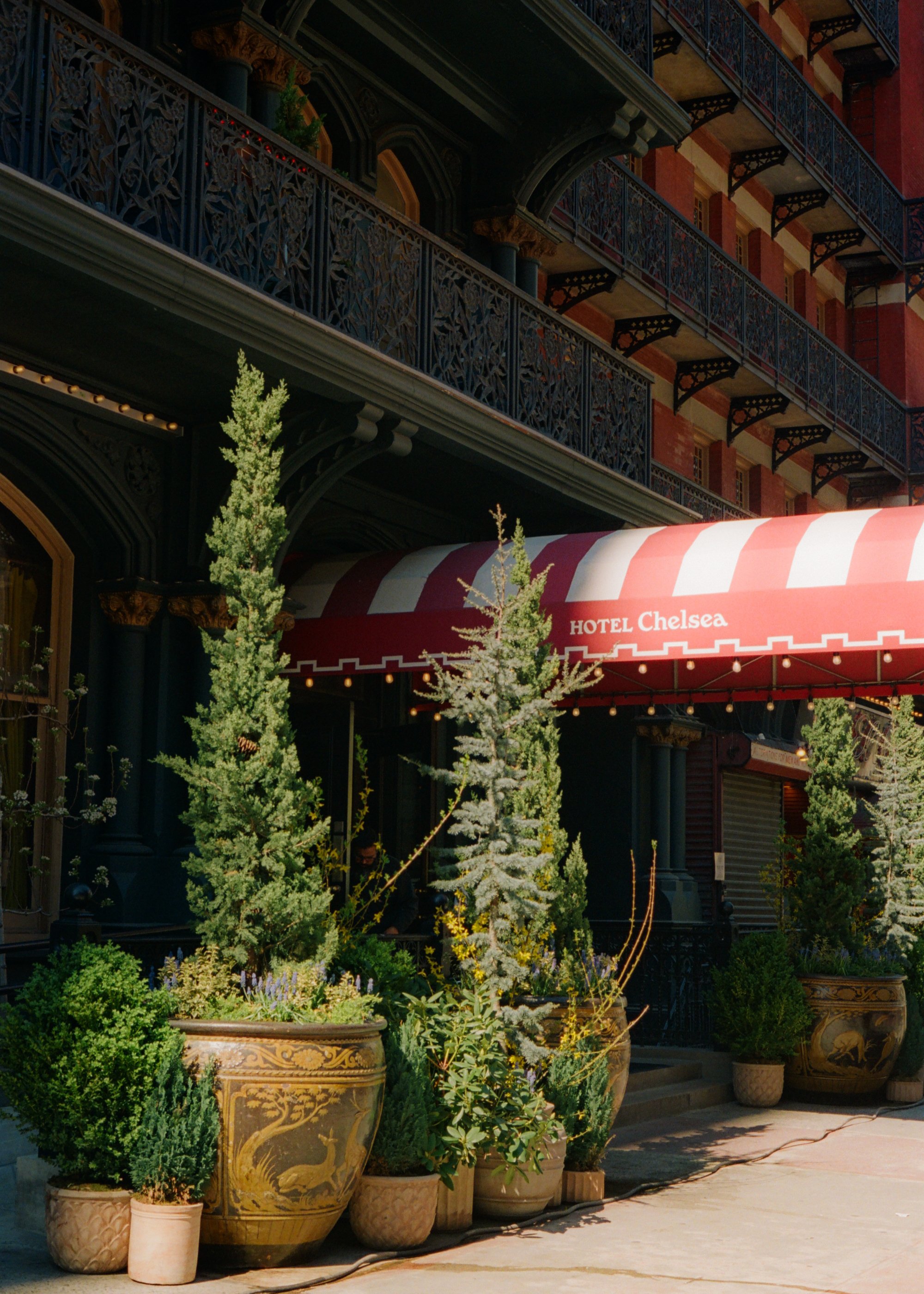 Hotel Chelsea_Shot by Anna Rae Dizik-1.jpg