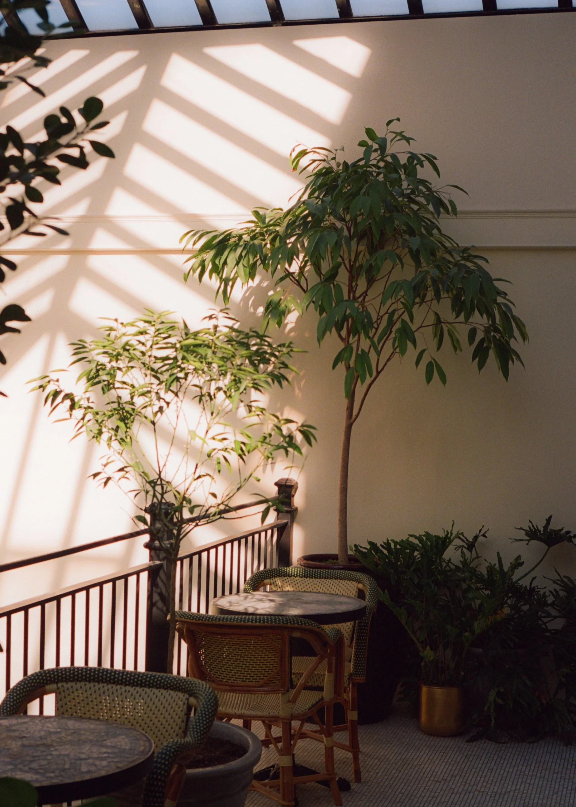 Hotel Chelsea_Shot by Anna Rae Dizik-8.jpg