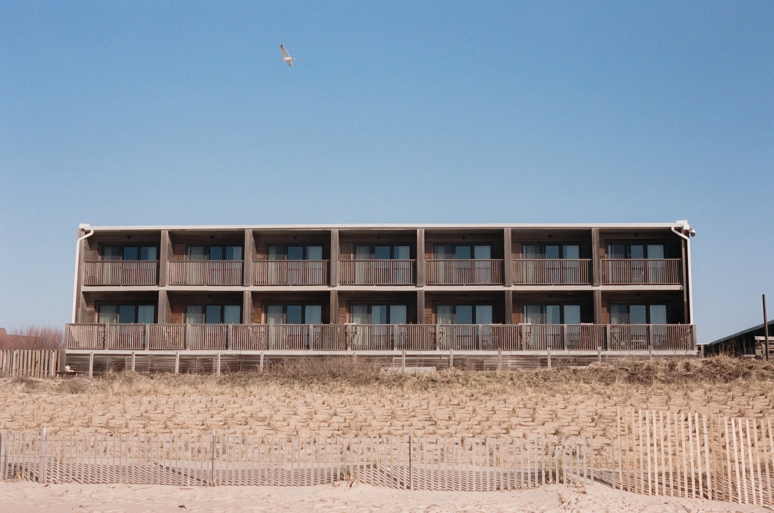 Marram_Shot by Anna Rae Dizik-7.jpg