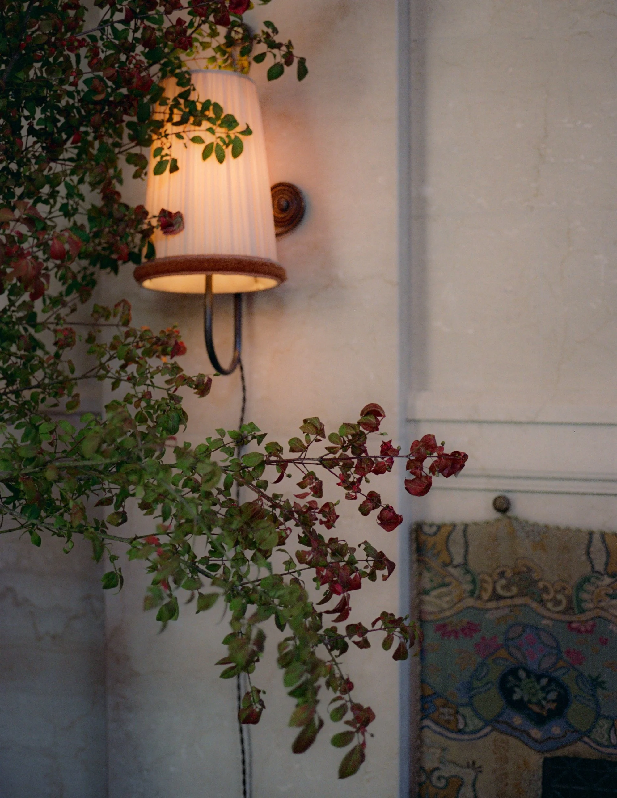 Nine Orchard_Shot by Anna Rae Dizik-17.jpg