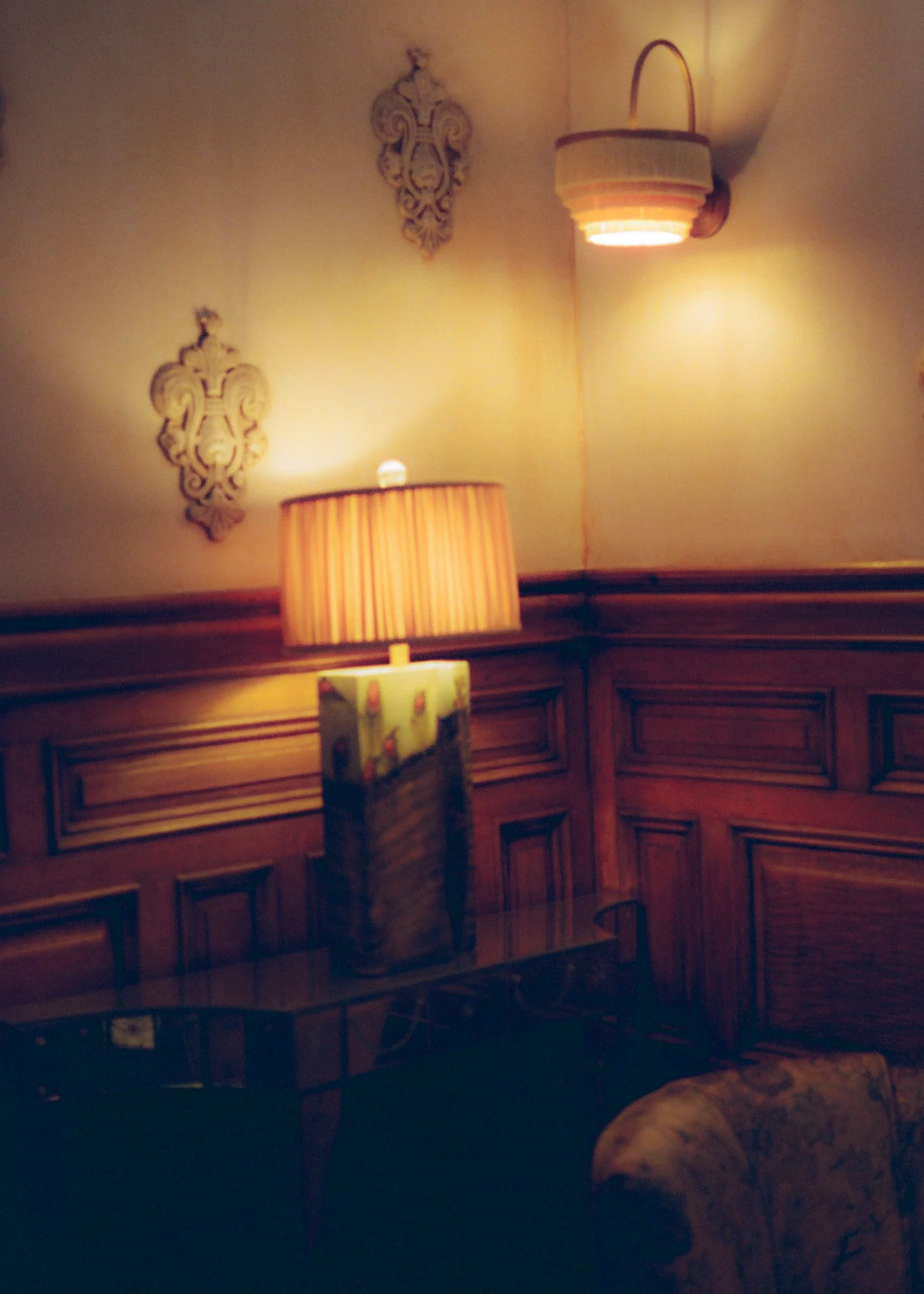 Hotel Chelsea_Shot by Anna Rae Dizik-5.jpg