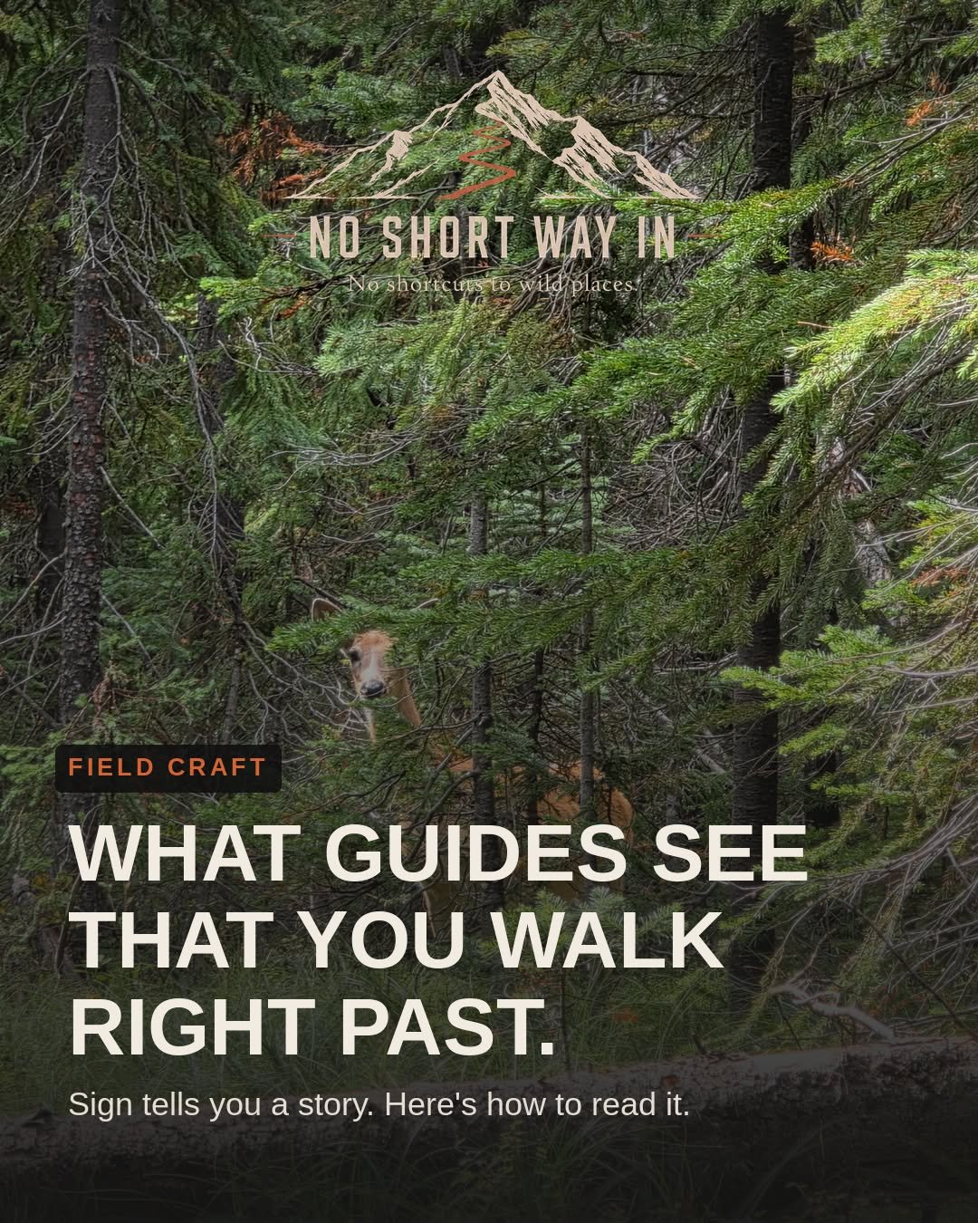What guides see that you walk right past.

Most hunters look for tracks. Good ones read the whole story &mdash; direction, age, pressure, and what the animal was doing when it left it.

Swipe through the sign that actually matters.

Save this before 