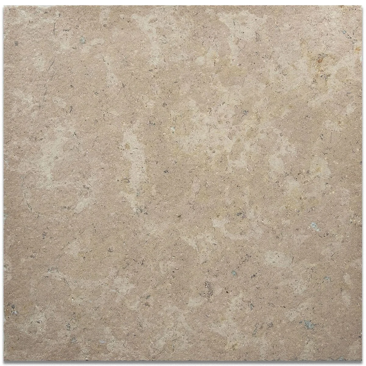 dijon 1.jpeg