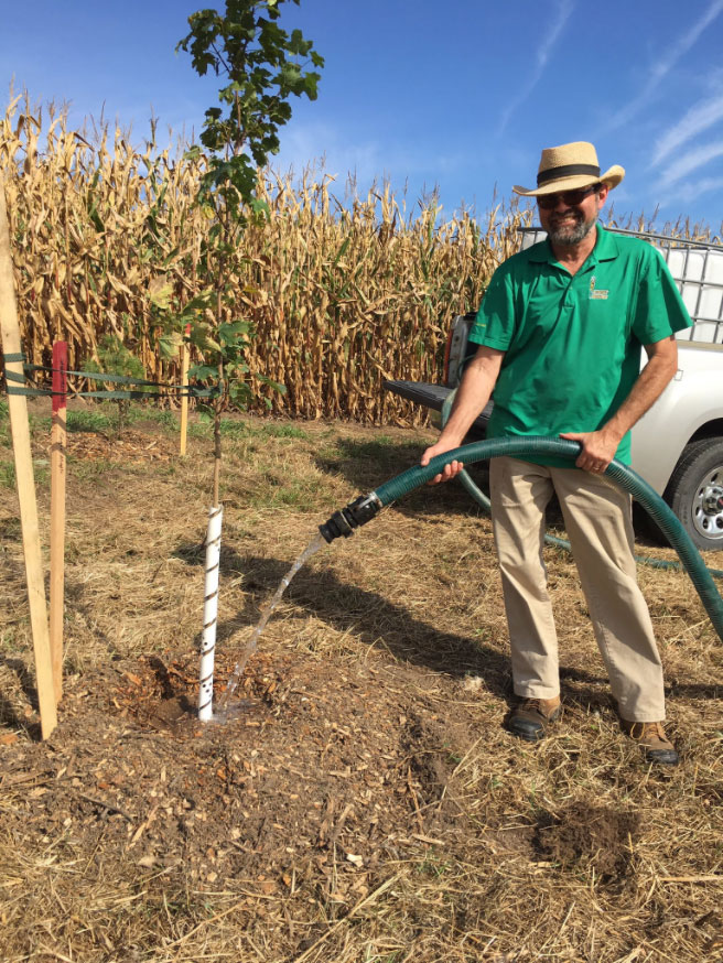 Wintermar Tree Planting 3.webp