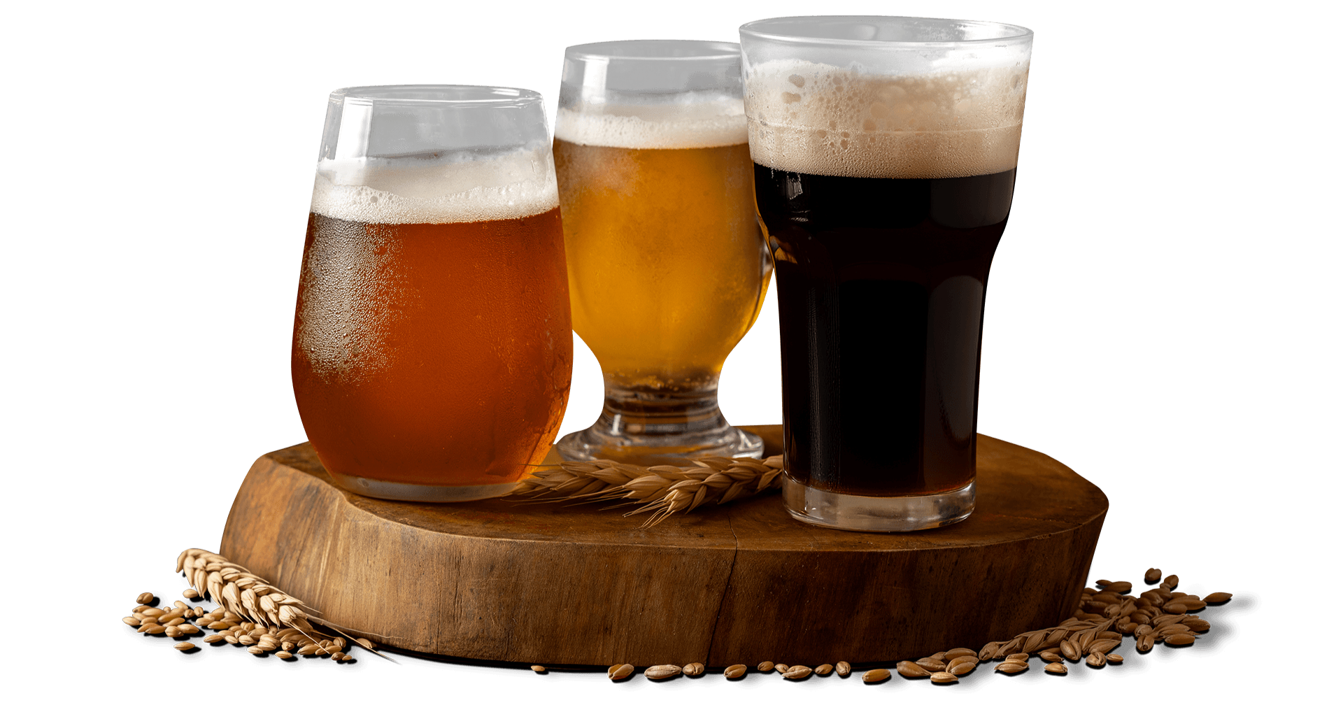 Three different glasses of beer on a wooden platform with barley and wheat surrounding it.