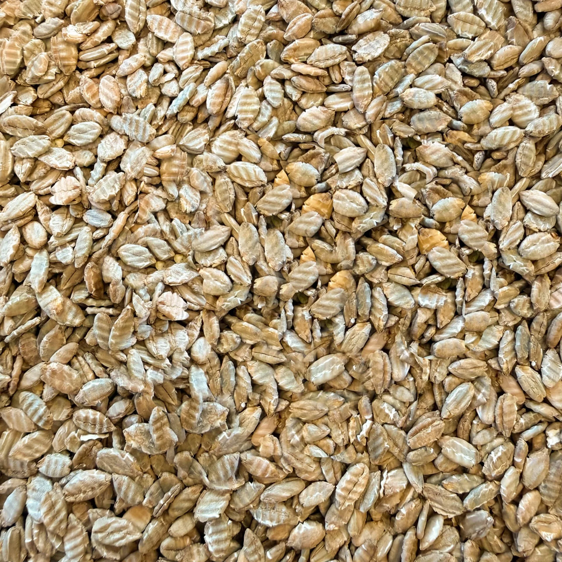 Close-up image of a pile of flaked rye grains.
