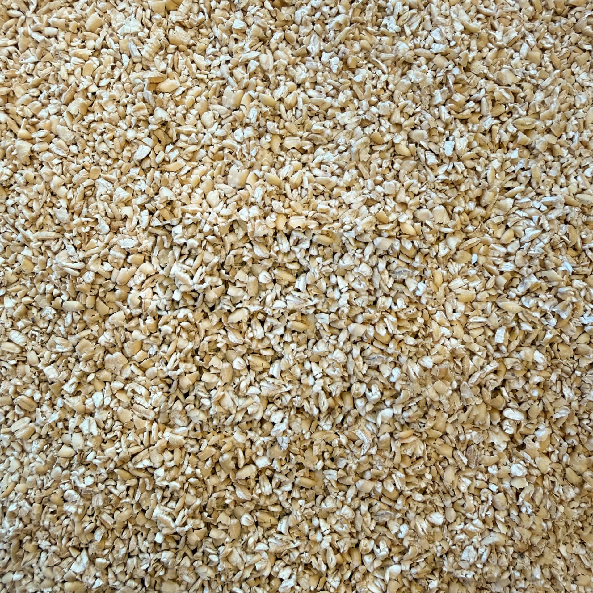 Close-up view of a pile of unmalted grains.