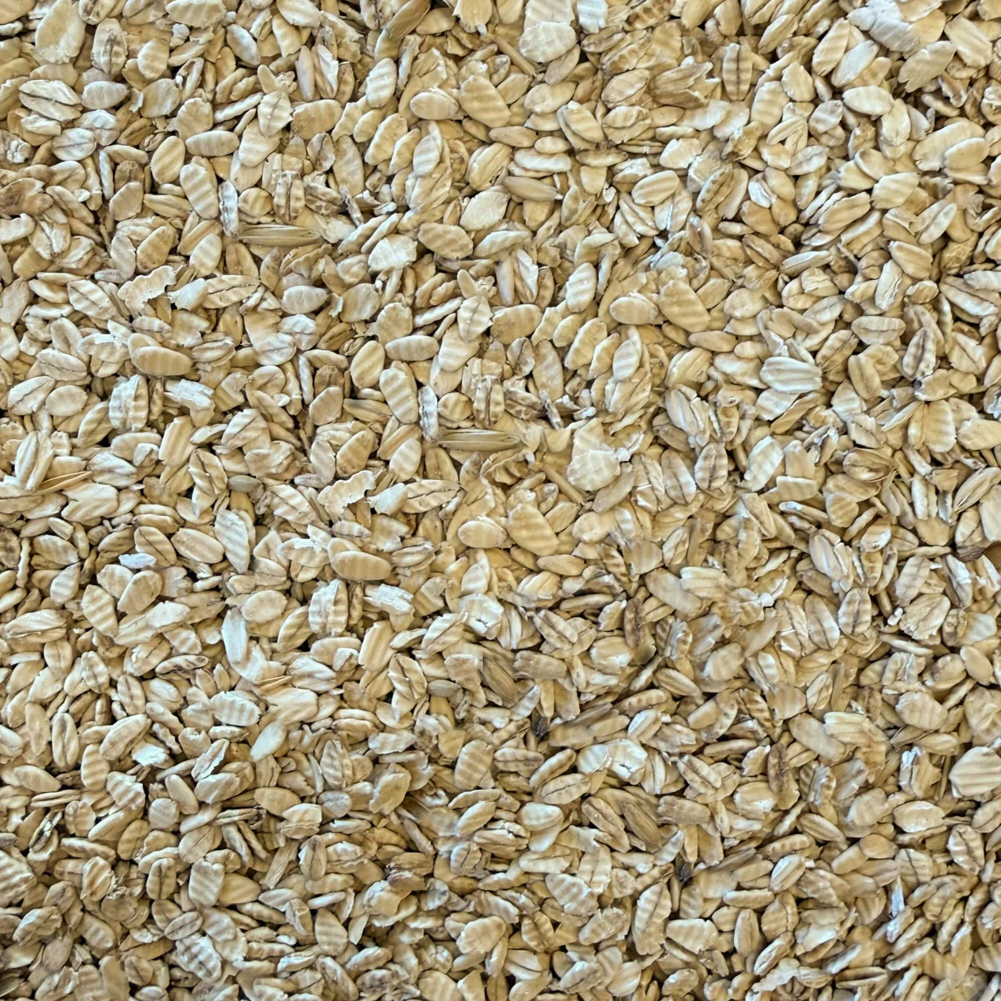Close-up of rolled oat flakes.