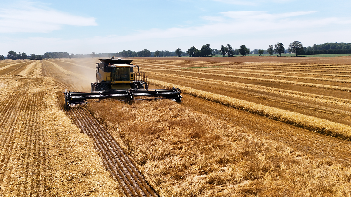 A combine harvester working in a golden wheat field on a sunny day with a few trees and a blue sky in the background.