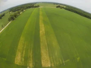 Aerial view of green fields with parallel yellow and green crop patterns, surrounded by trees and open land.
