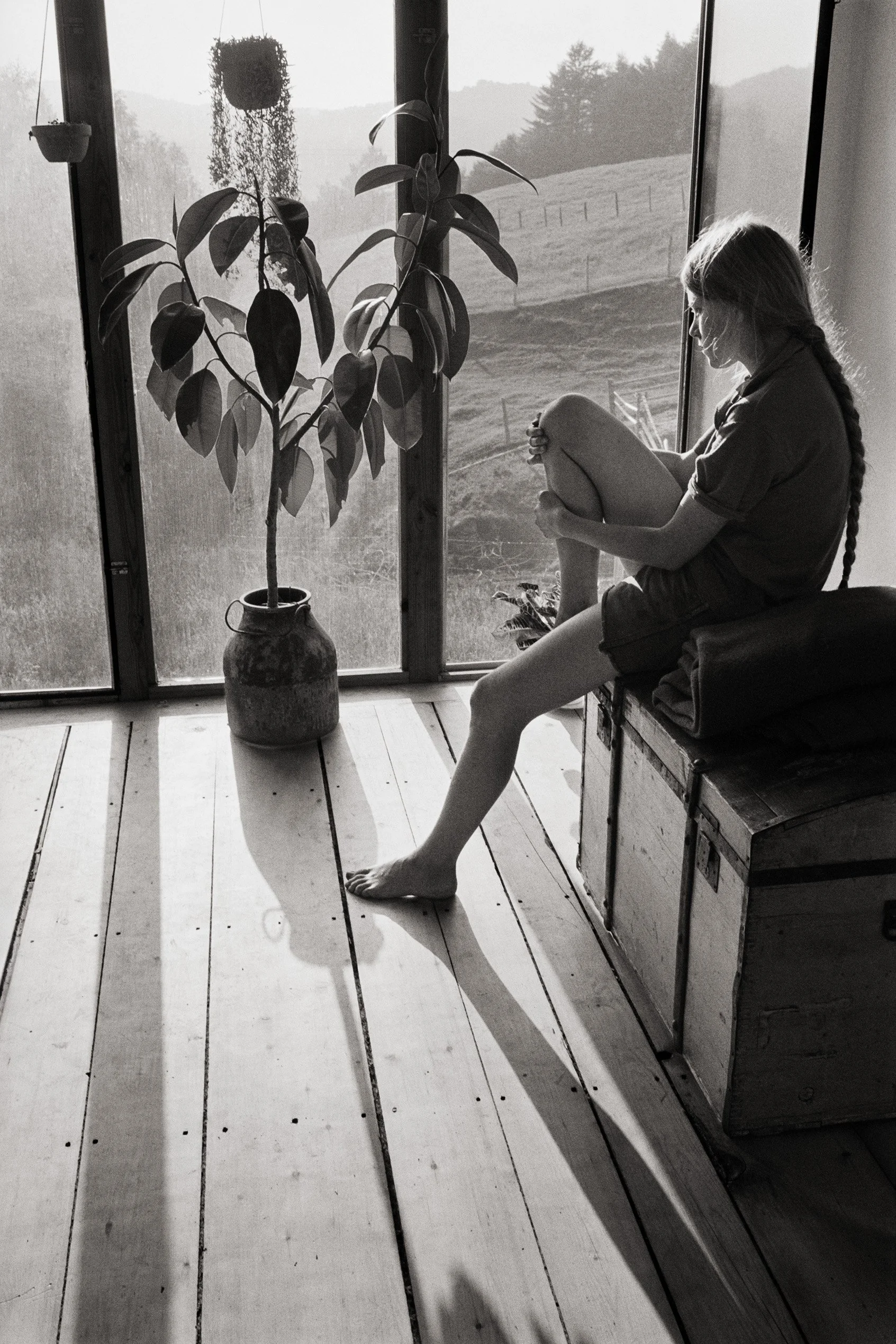 A woman sitting on a wooden chest near a large window, looking down with her knees up and her arms wrapped around her legs, next to a large potted plant with broad leaves and a hanging basket outside, with trees and hills in the background.