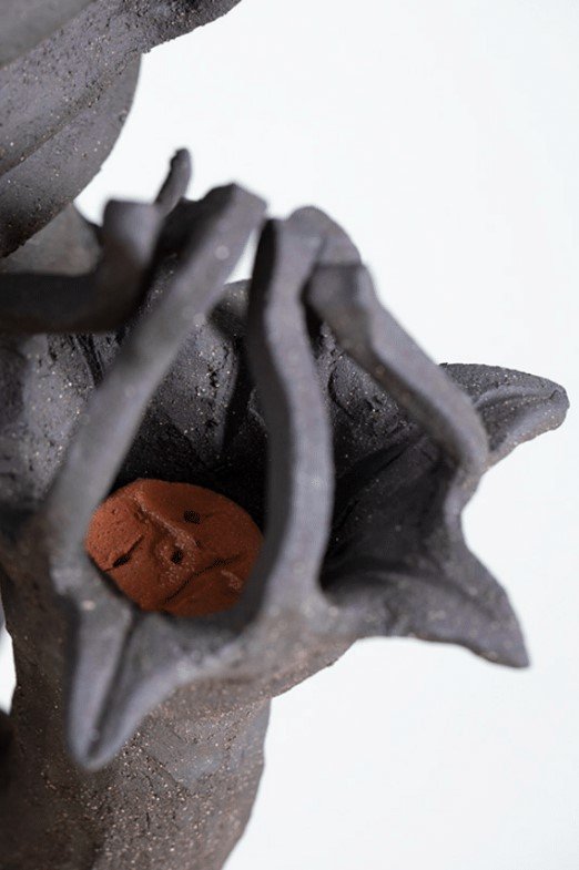 fables of pareidolia 8.jpg