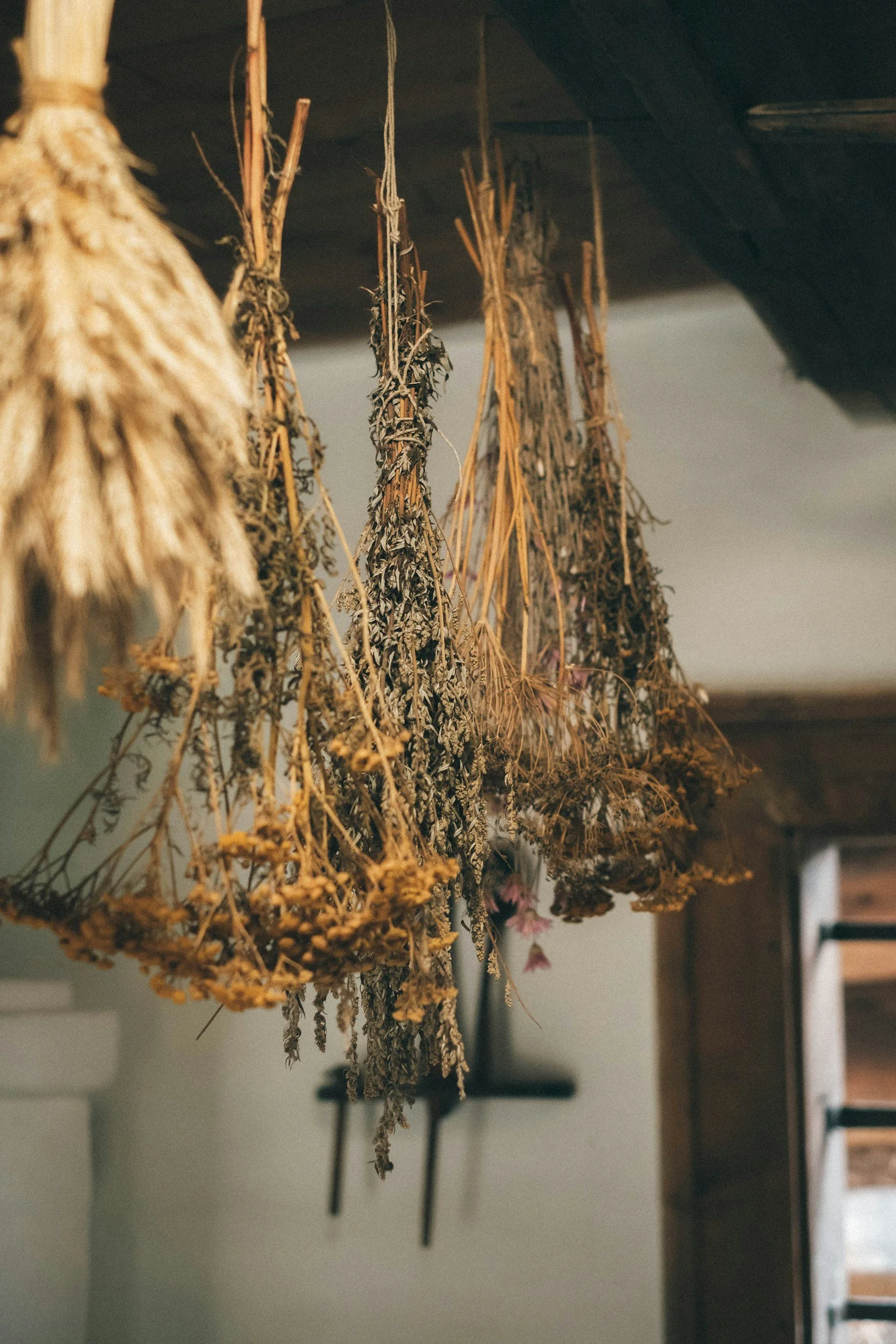 Hanging dried herbs or flowers in a rustic setting