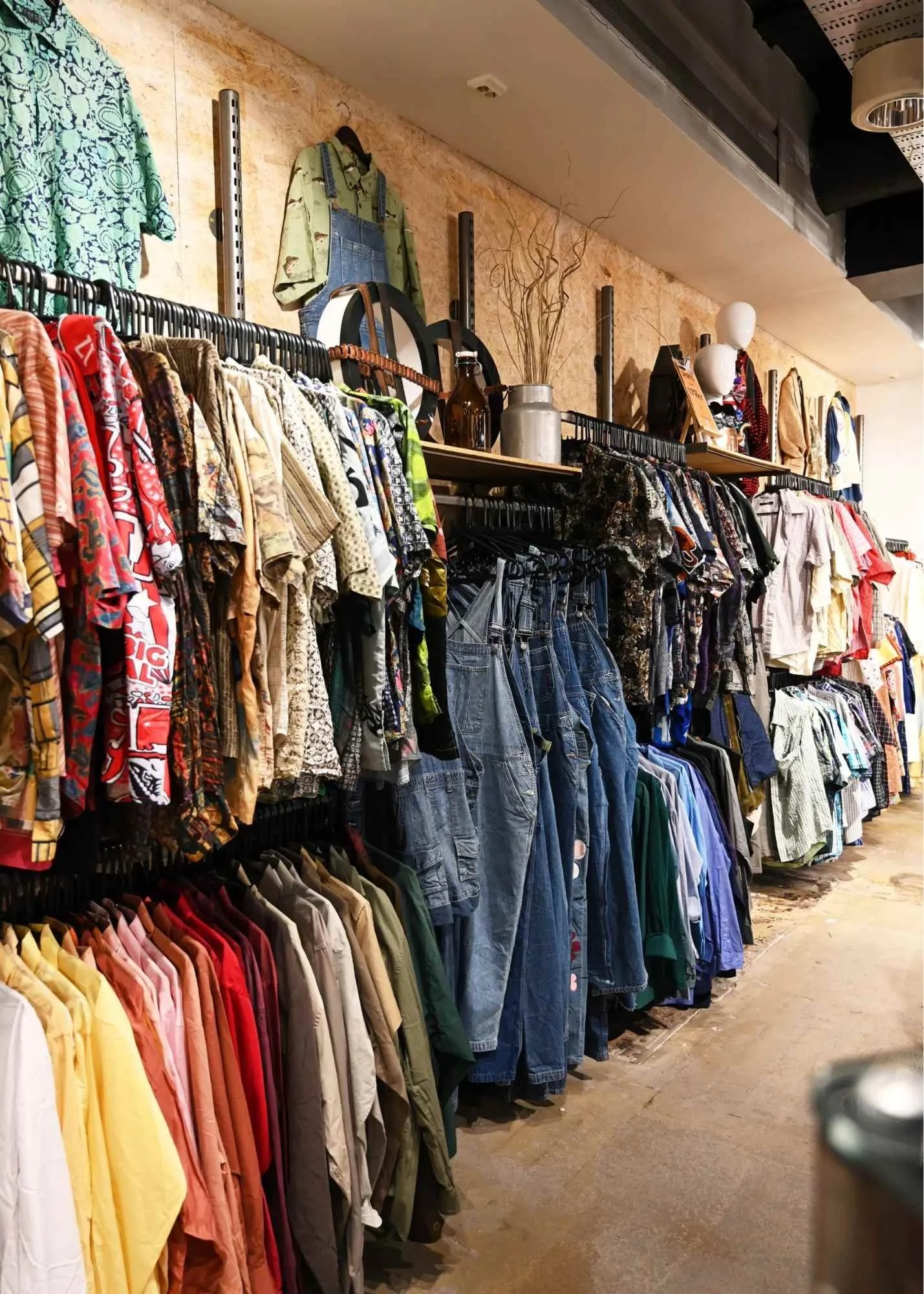 Clothing store shelf with colorful shirts, jackets, and denim jeans displayed on hangers.