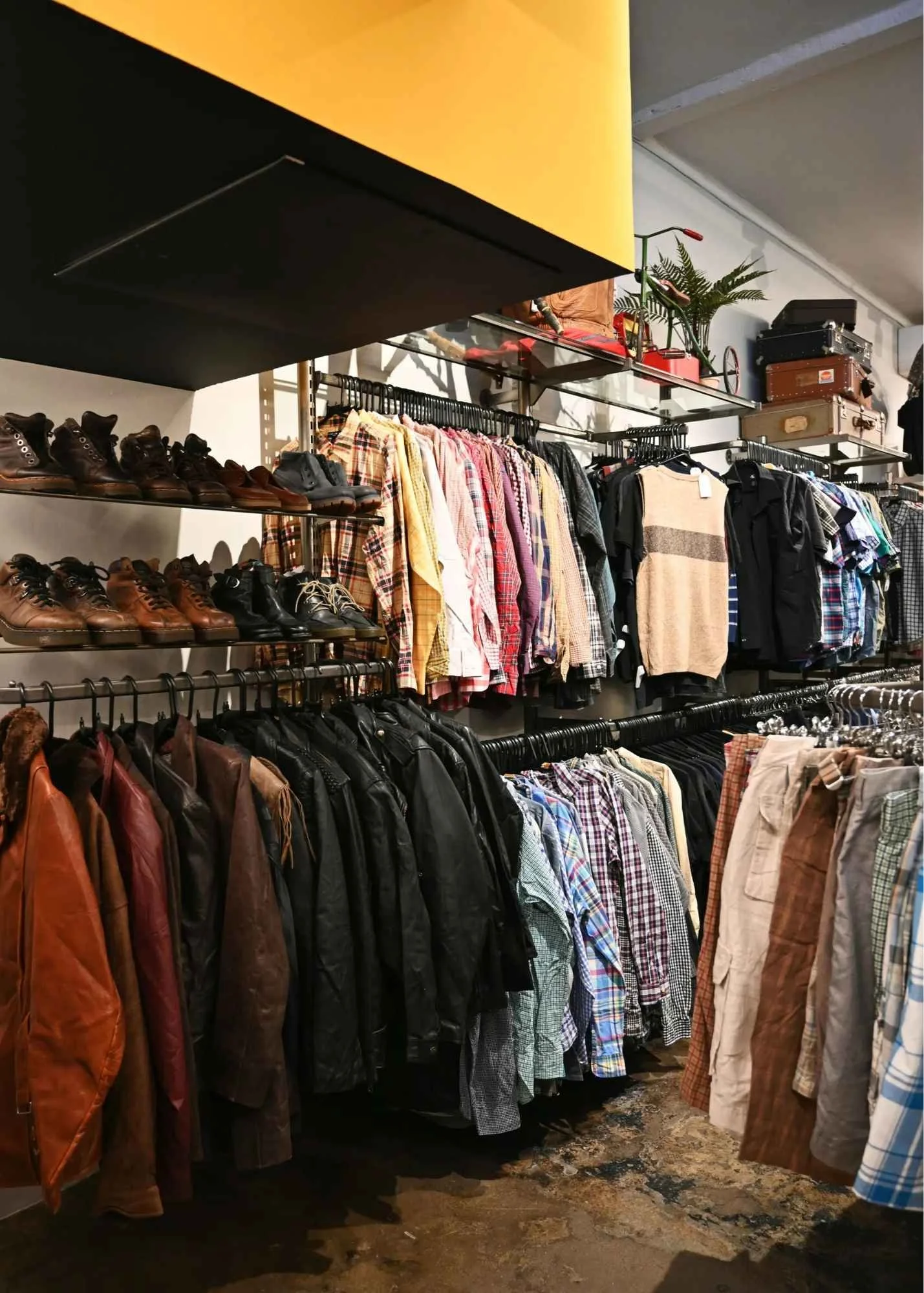 Clothing shop display with men's leather jackets on the lower rack, plaid and casual shirts on the upper rack, and shoes on shelves above, with vintage suitcases and a potted plant on a ledge in the background.