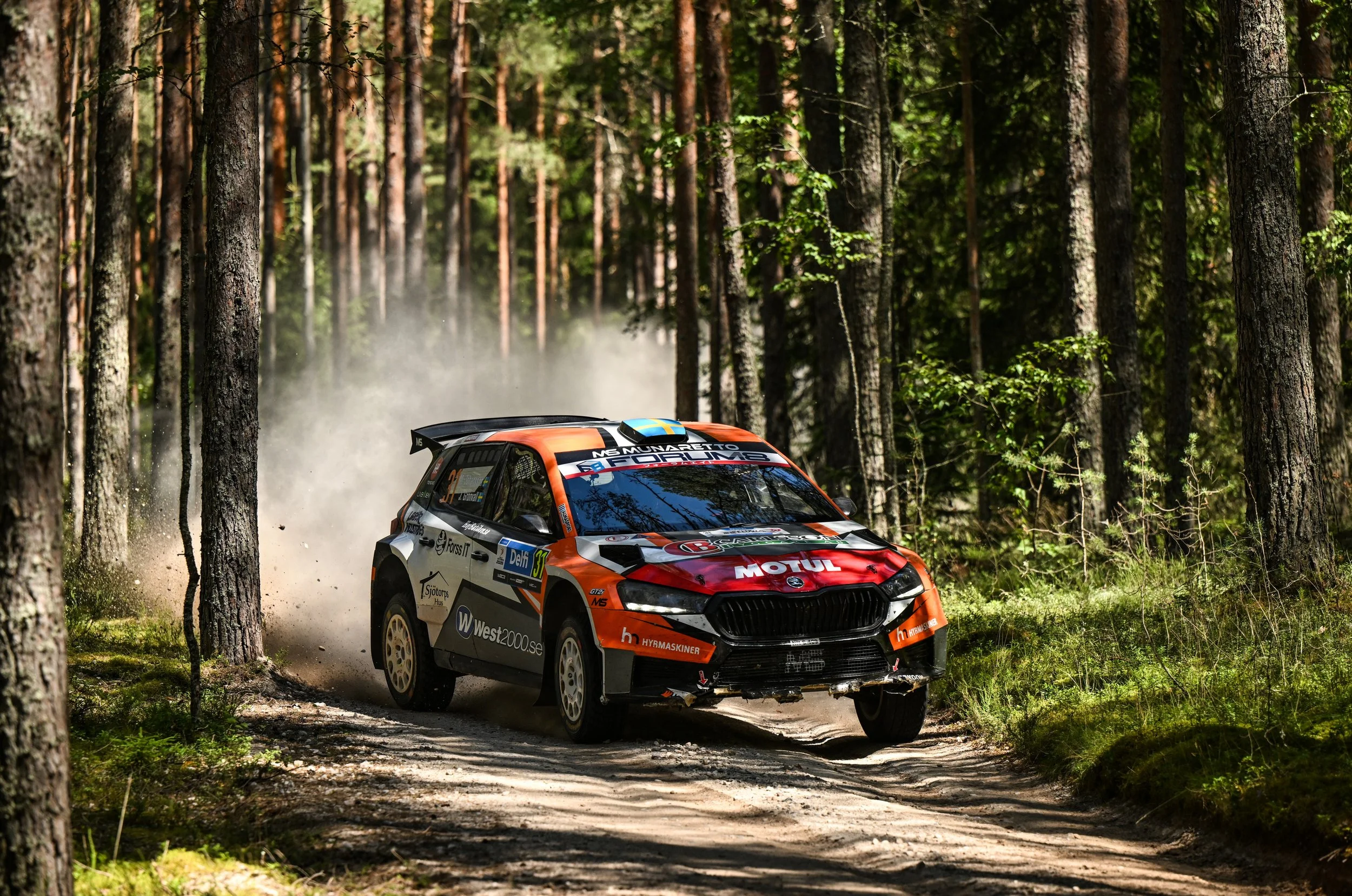 A rally car speeding through a forest trail, kicking up dust, with tall trees and green foliage surrounding the dirt path.