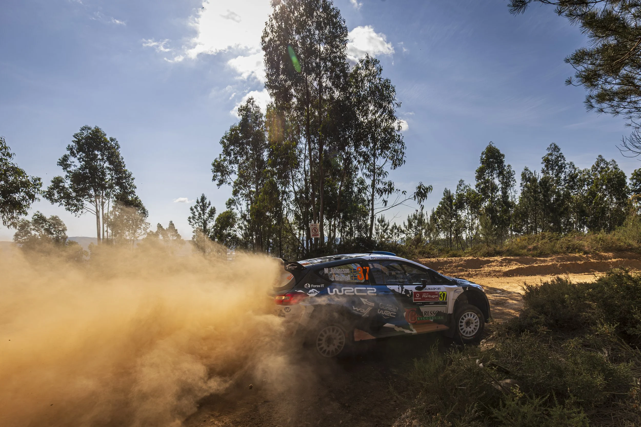 A rally car speeding on a dirt track, kicking up dust, with tall trees and a partly cloudy sky in the background.