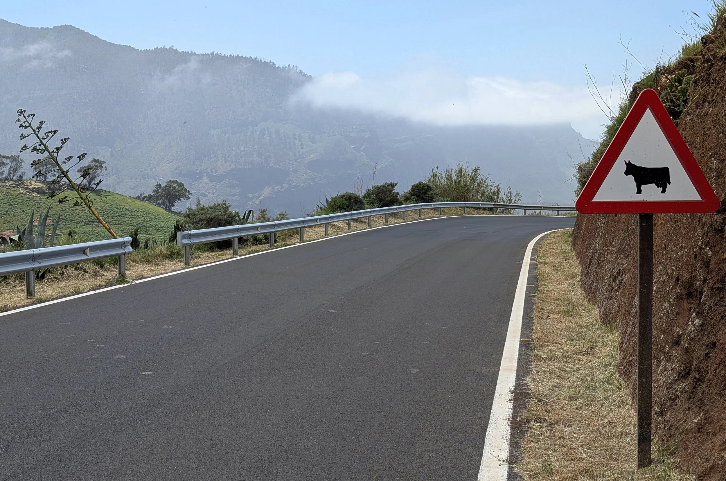 A mountain road with guardrails and a warning sign indicating cattle crossing. The background shows mountains and a partly cloudy sky.