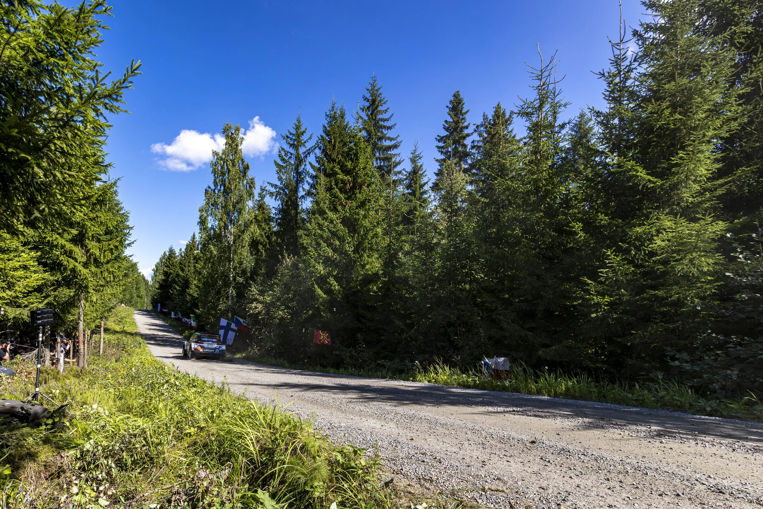 A gravel road winding through a dense forest of tall green trees on a sunny day with blue skies and white clouds.