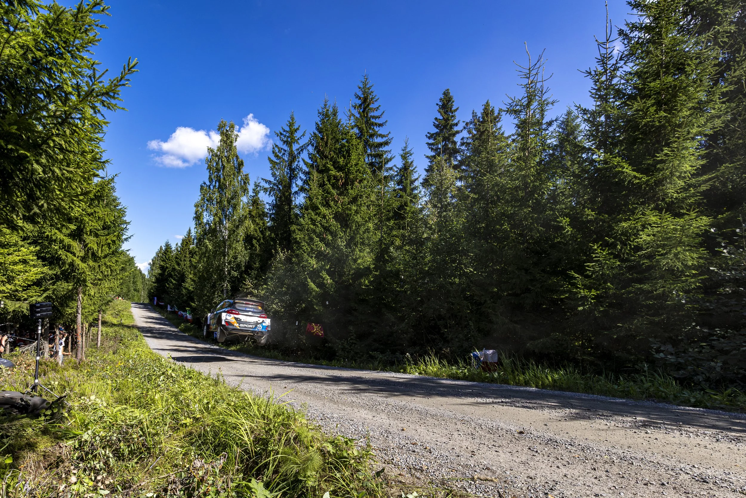 A rally car racing down a dirt and gravel forest road surrounded by tall green pine trees on a bright, sunny day.