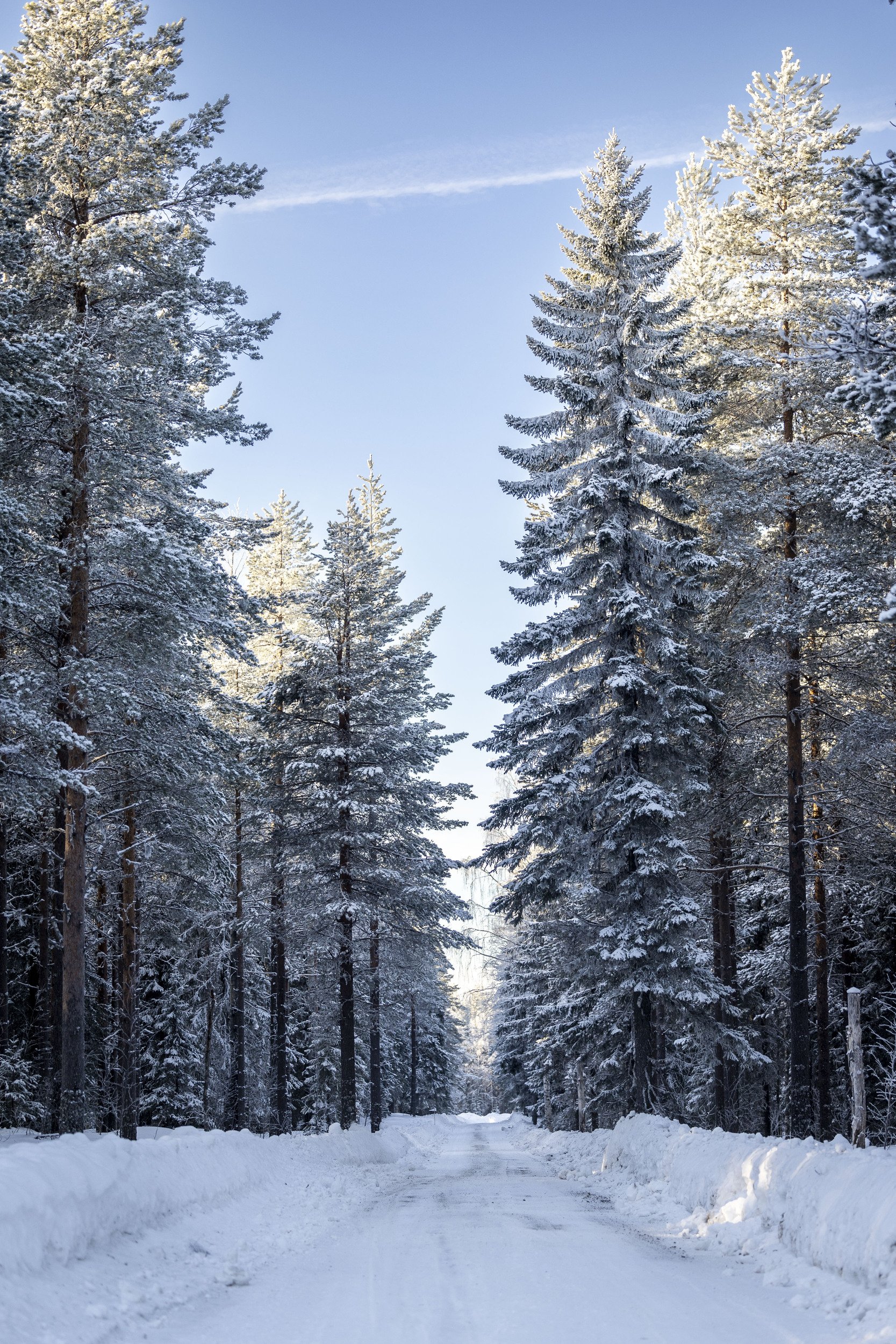 RPPA_2024_02_SWEDEN_007.jpg