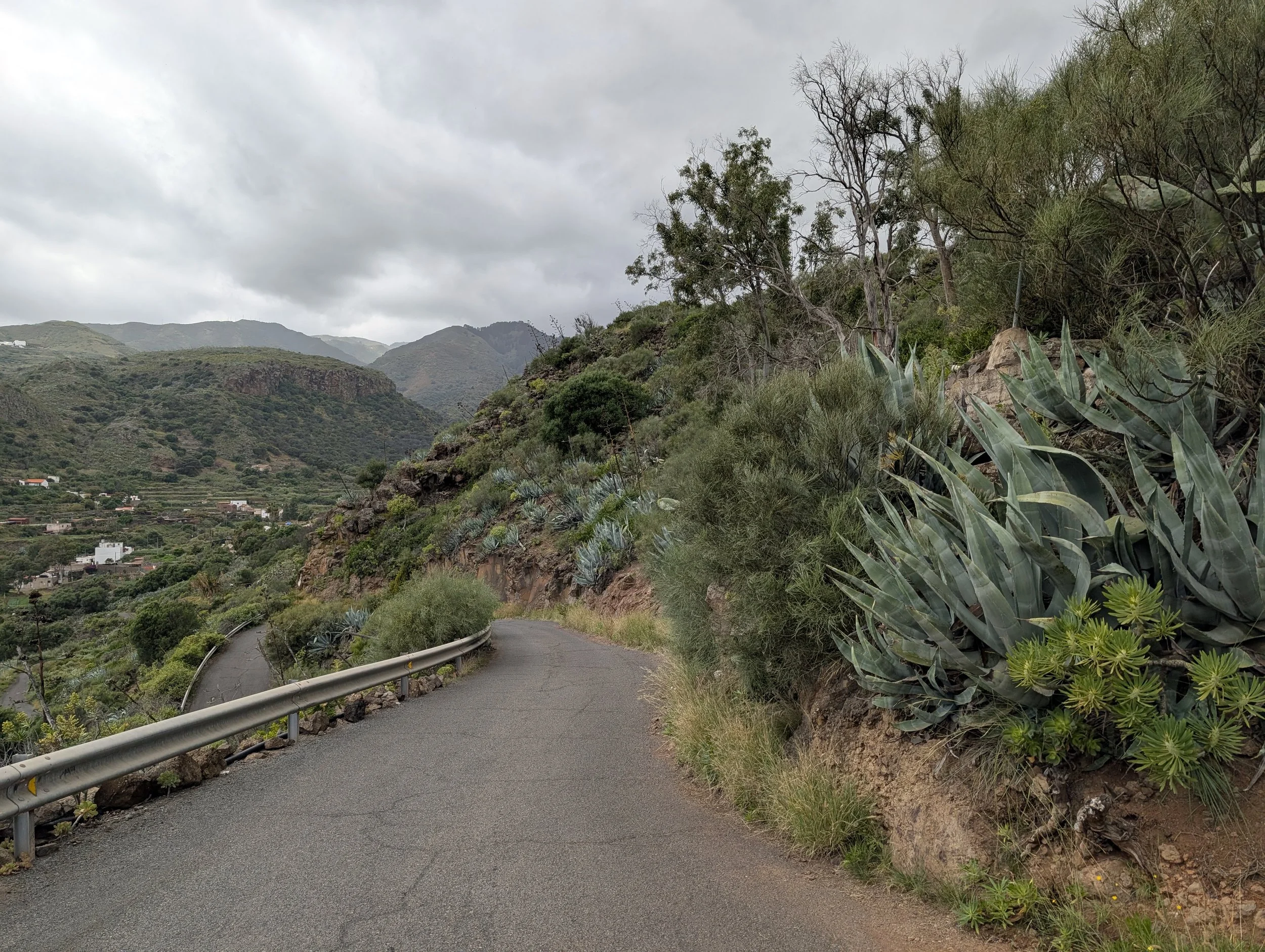 A winding mountain road with a metal guardrail, flanked by desert plants and trees, with rugged hills and cloudy sky in the background.
