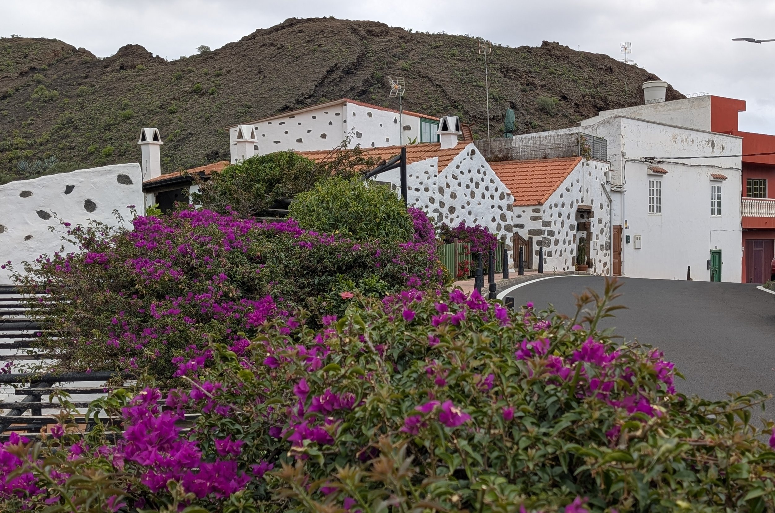 White houses with orange tiled roofs and dark chimney stacks in front of a green hillside with cloudy sky; purple flowers in the foreground.