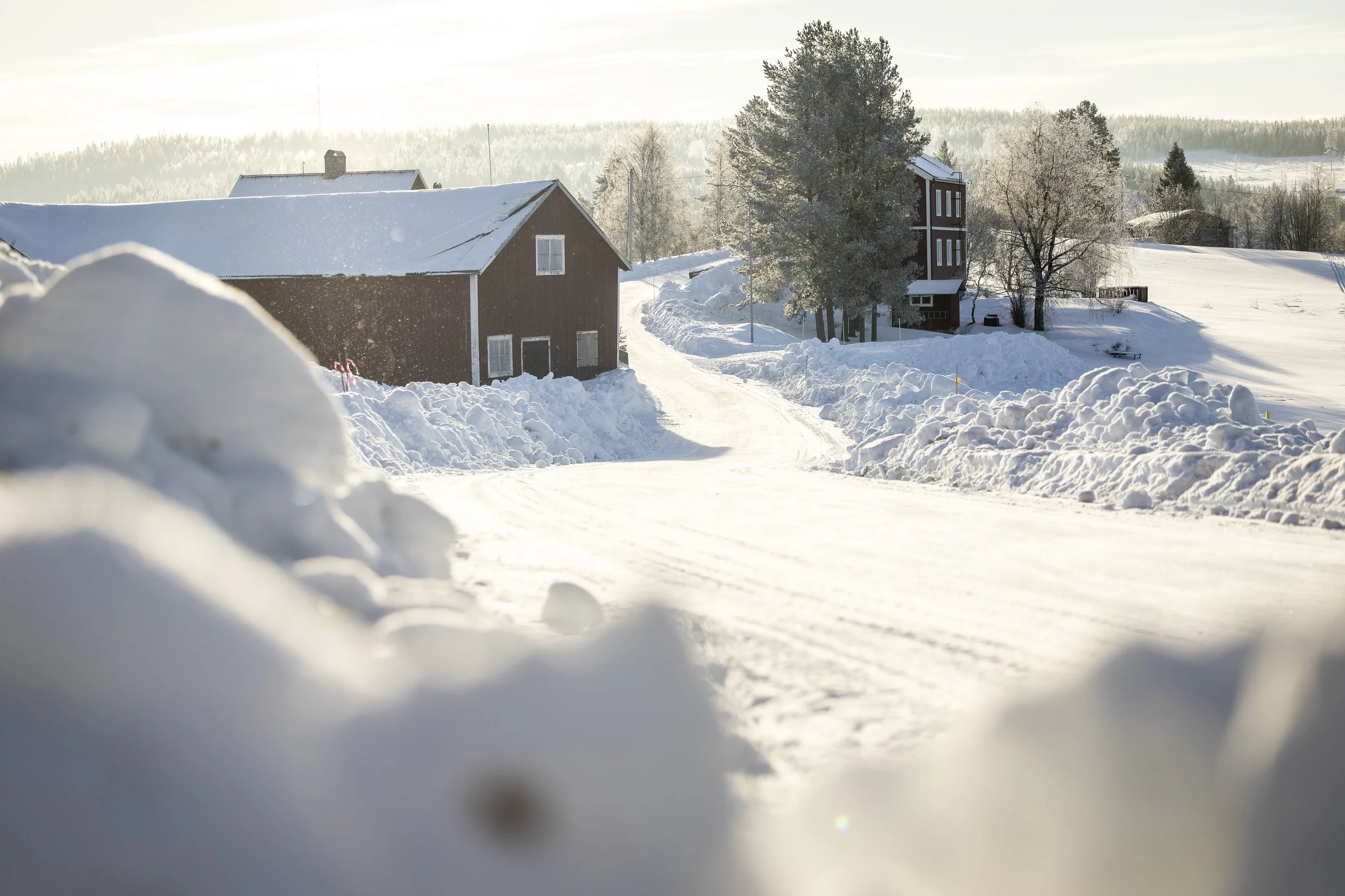 RPPA_2024_02_SWEDEN_005.jpg
